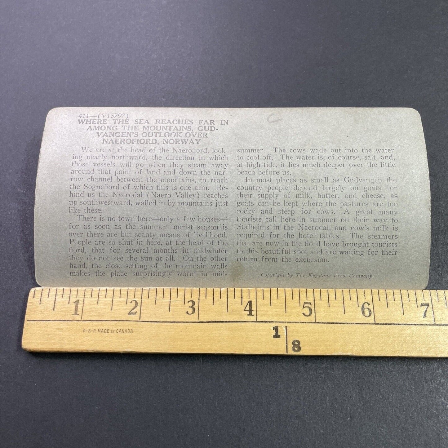 Antique 1910s Cattle Farm Undredal Norway Stereoview Photo Card P3760