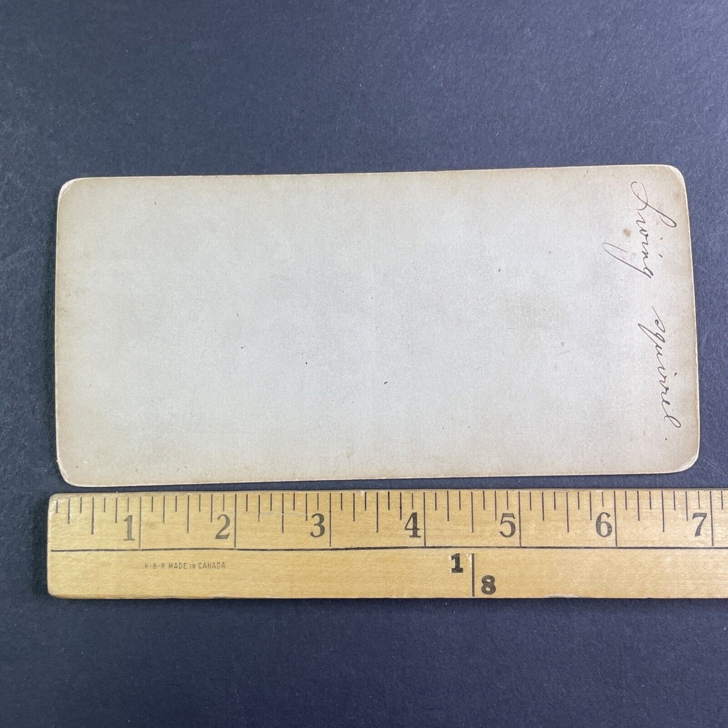 A Living Squirrel JP Soule Stereoview John P. Soule Antique c1871 X3874