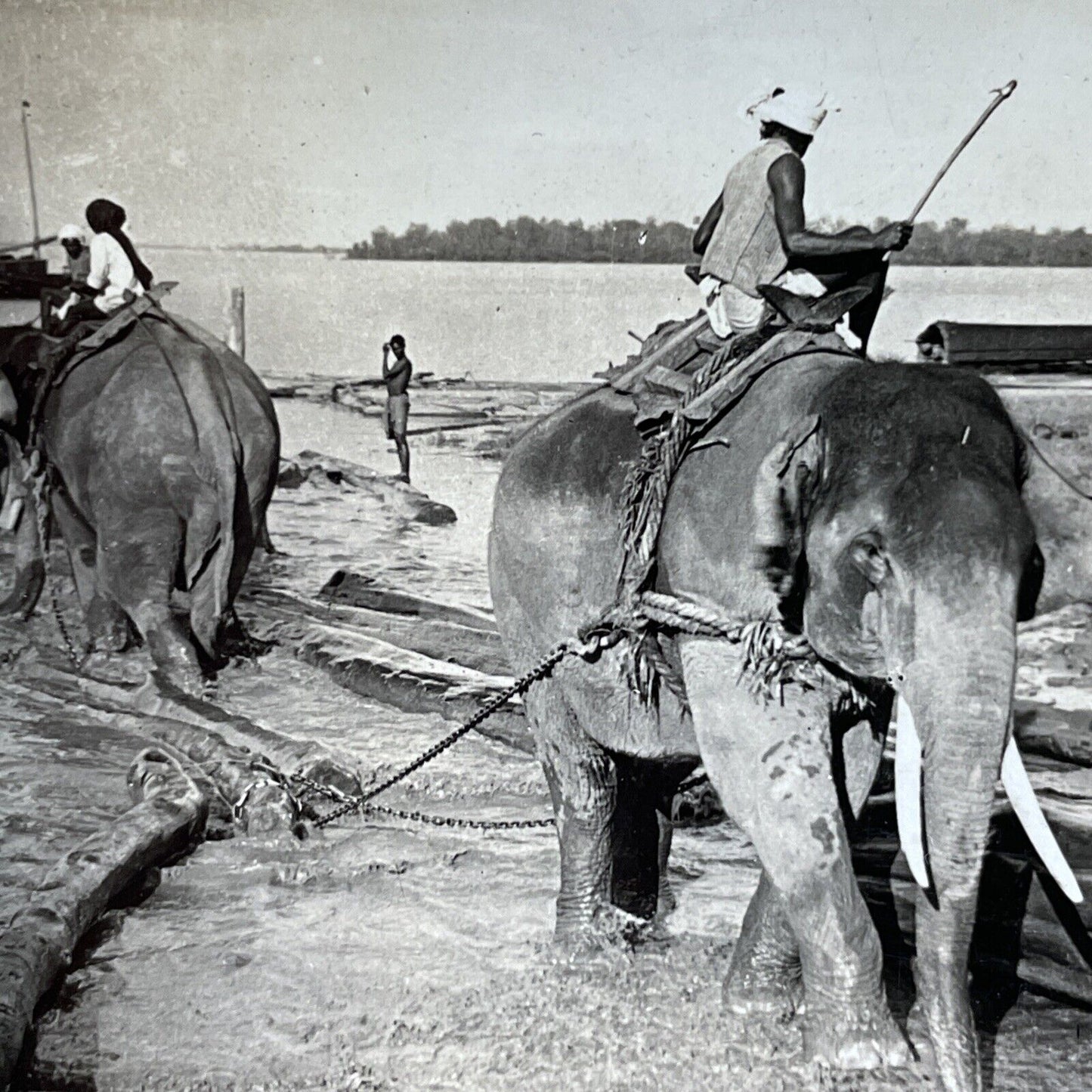 Antique 1909 Men Riding Elephants In Myanmar Stereoview Photo Card V2893