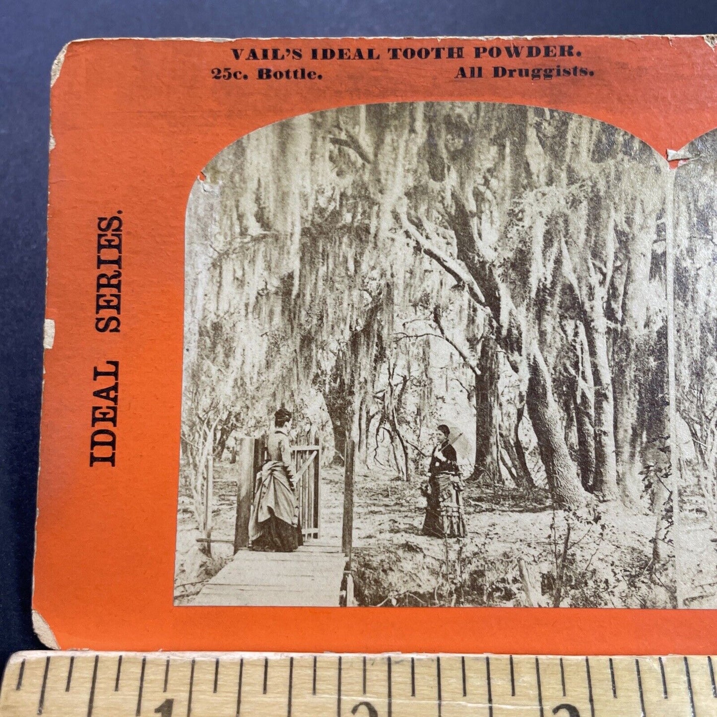 Antique 1860s Rich Women Hibernia Plantation Florida Stereoview Photo Card P4138