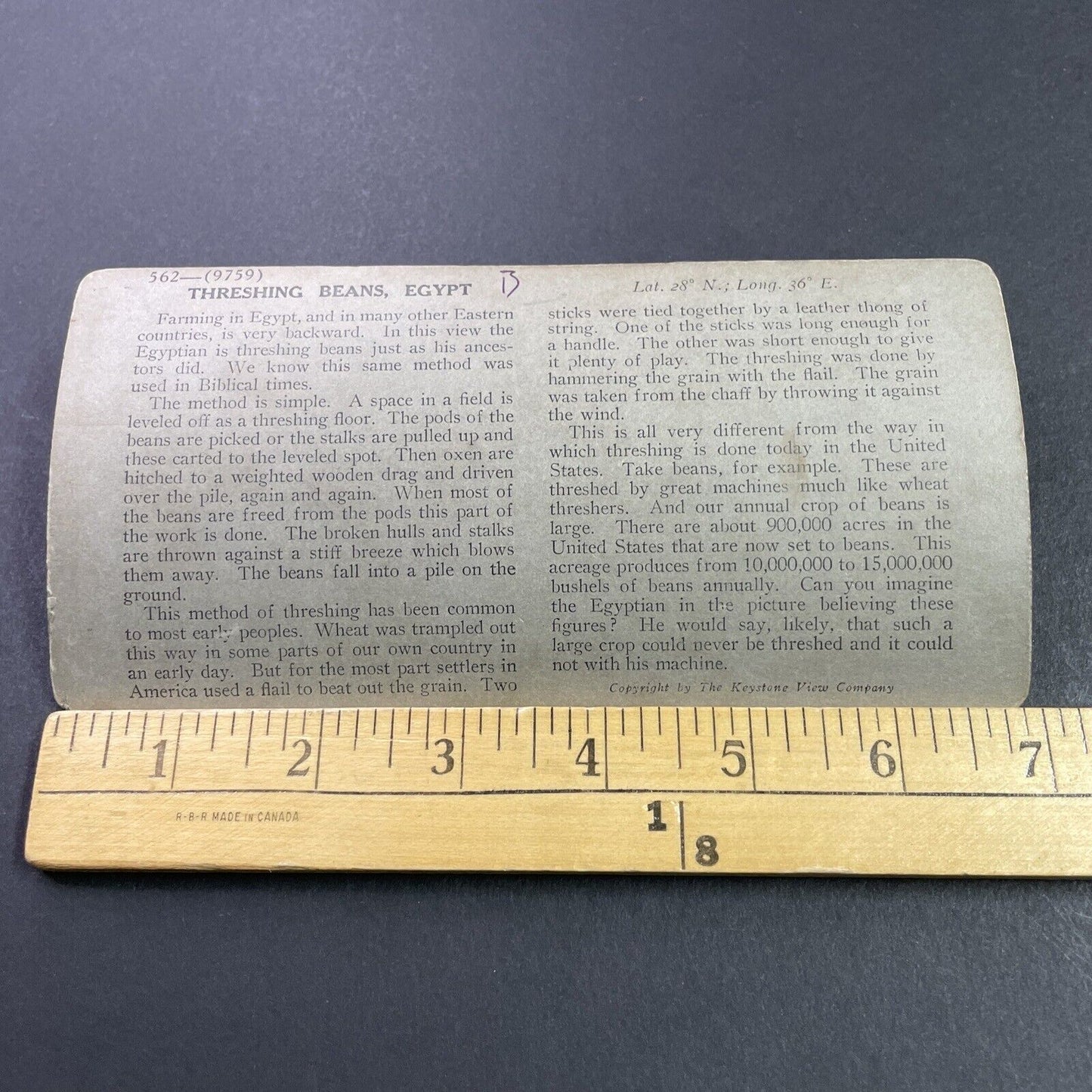 Antique 1910s Primitive Bean Threshing Device Egypt Stereoview Photo Card P3741