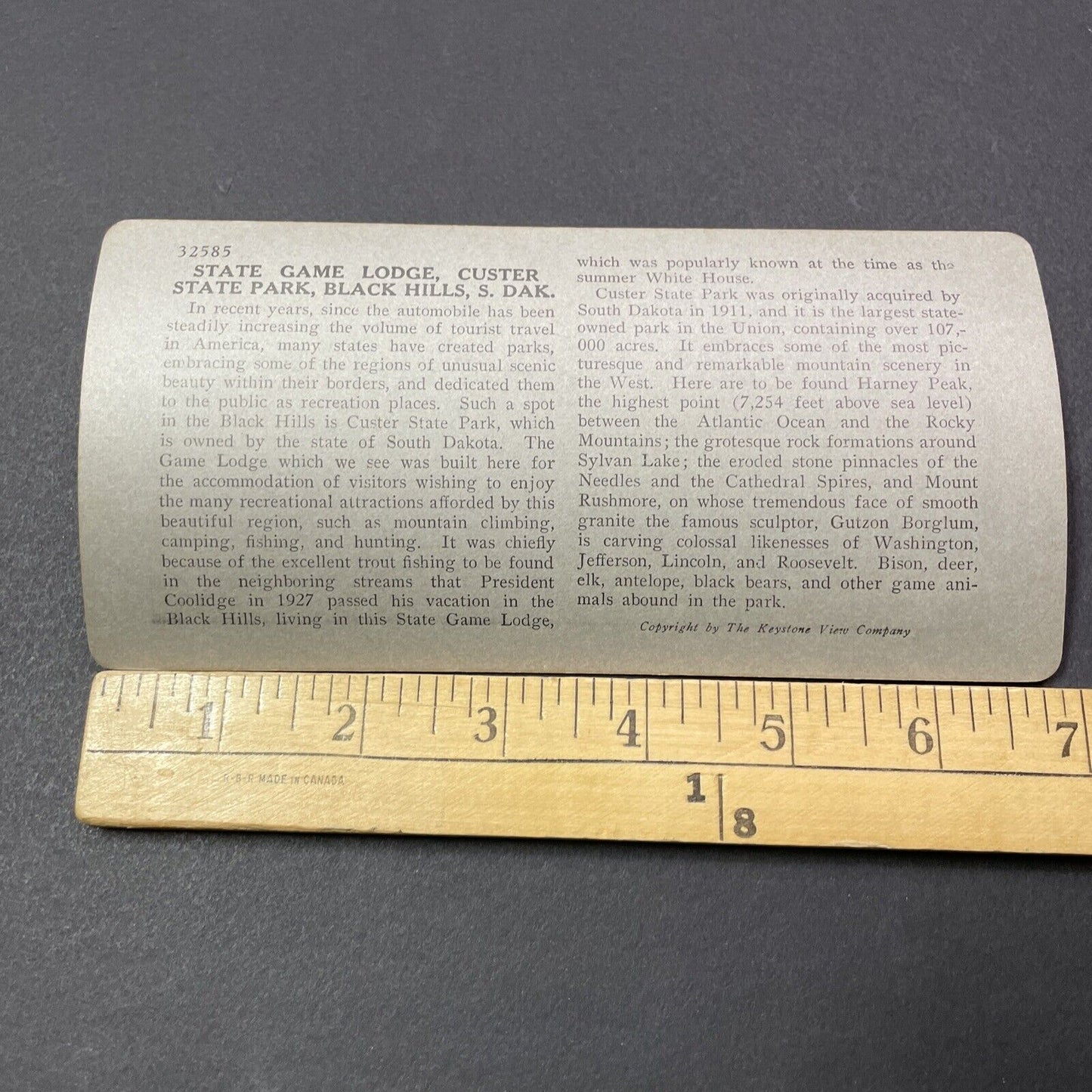 Antique 1910s Hunting Lodge Custer Park South Dakota Stereoview Photo Card V2185