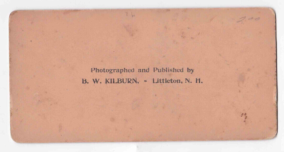 Antique 1893 Interior Of Agricultural Building Chicago Illinois Stereo Card P226