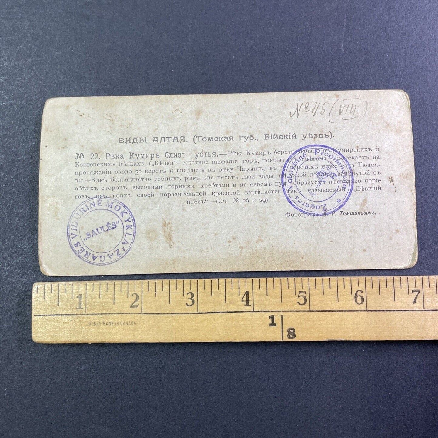 Russian Explorers Altai River Kumir Siberia Stereoview Russia Antique 1896 X2620