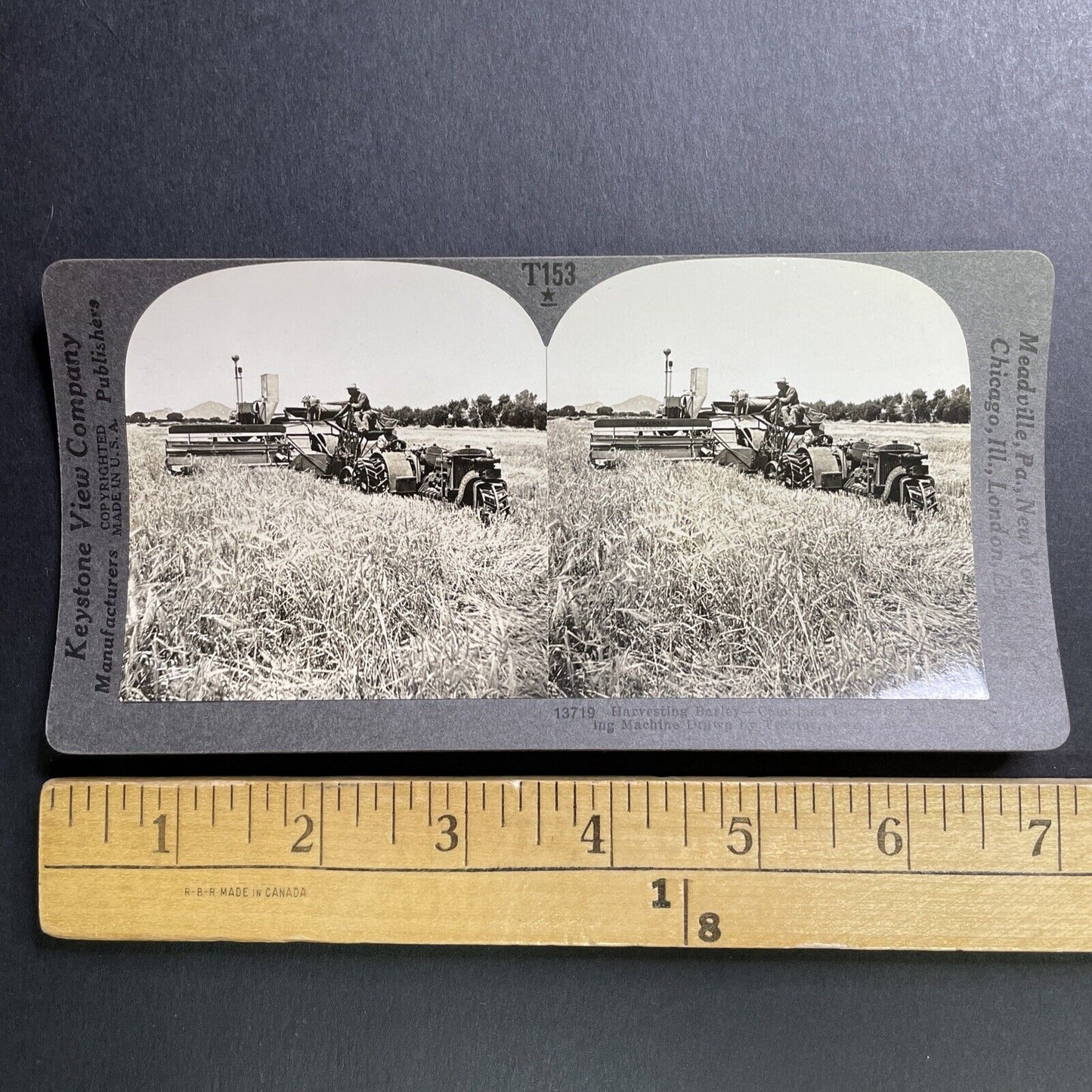 Antique 1918 Barley Farming Fort Collins Colorado Stereoview Photo Card P1626