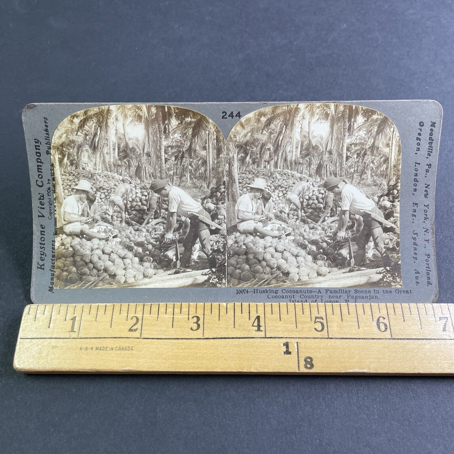 Antique 1906 Coconut Grove Pagsanjan Philippines Stereoview Photo Card P2188