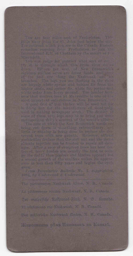 1902 Logging Log Driving Nashwaak River Marysville New Brunswick Stereo Card 405