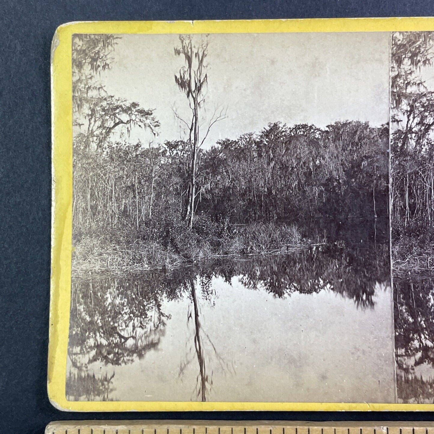 Silver Springs Florida Stereoview Wilson and Havens Antique c1870s Y440