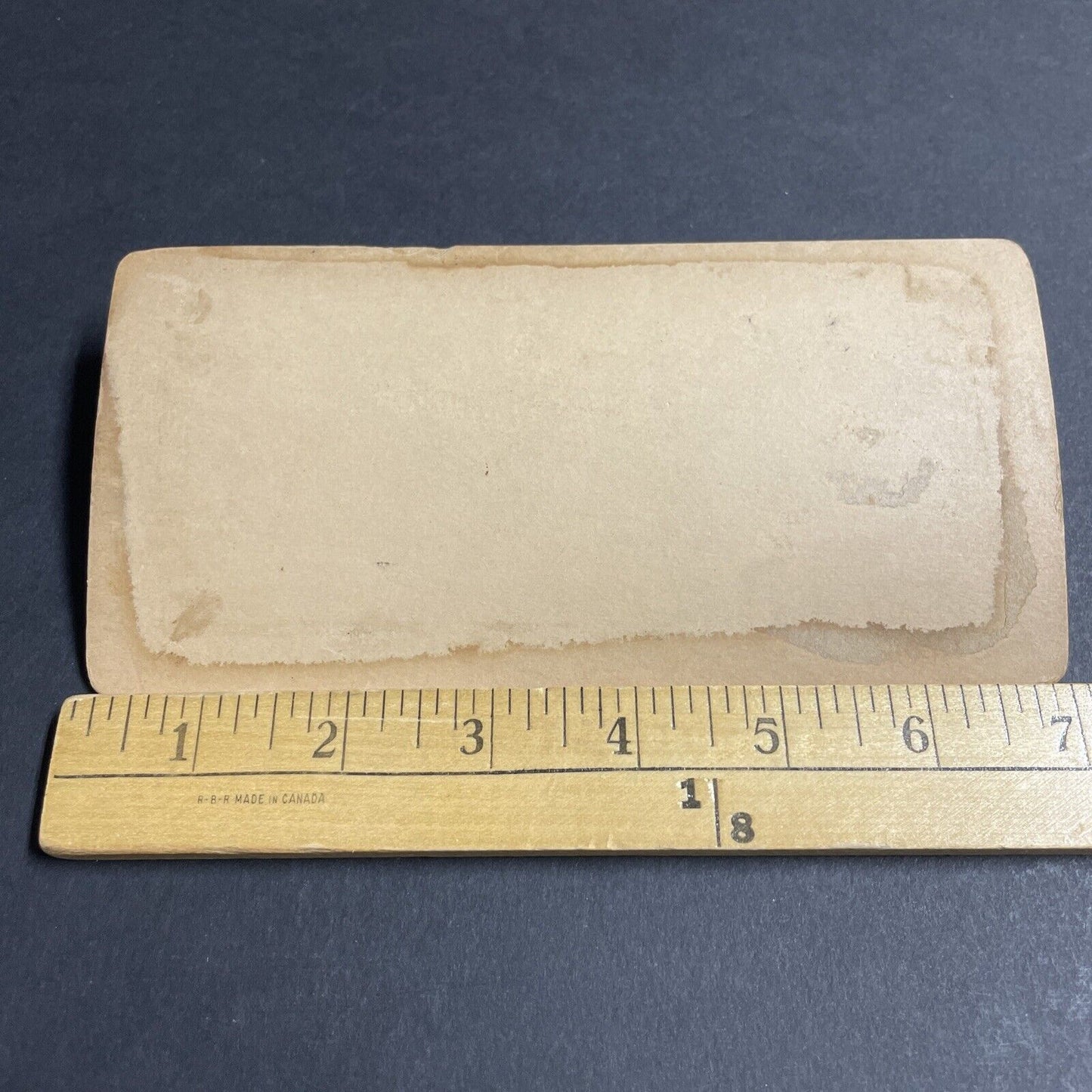Antique 1880s Daytona Beach Florida N Ridgewood Ave Stereoview Photo Card P4851