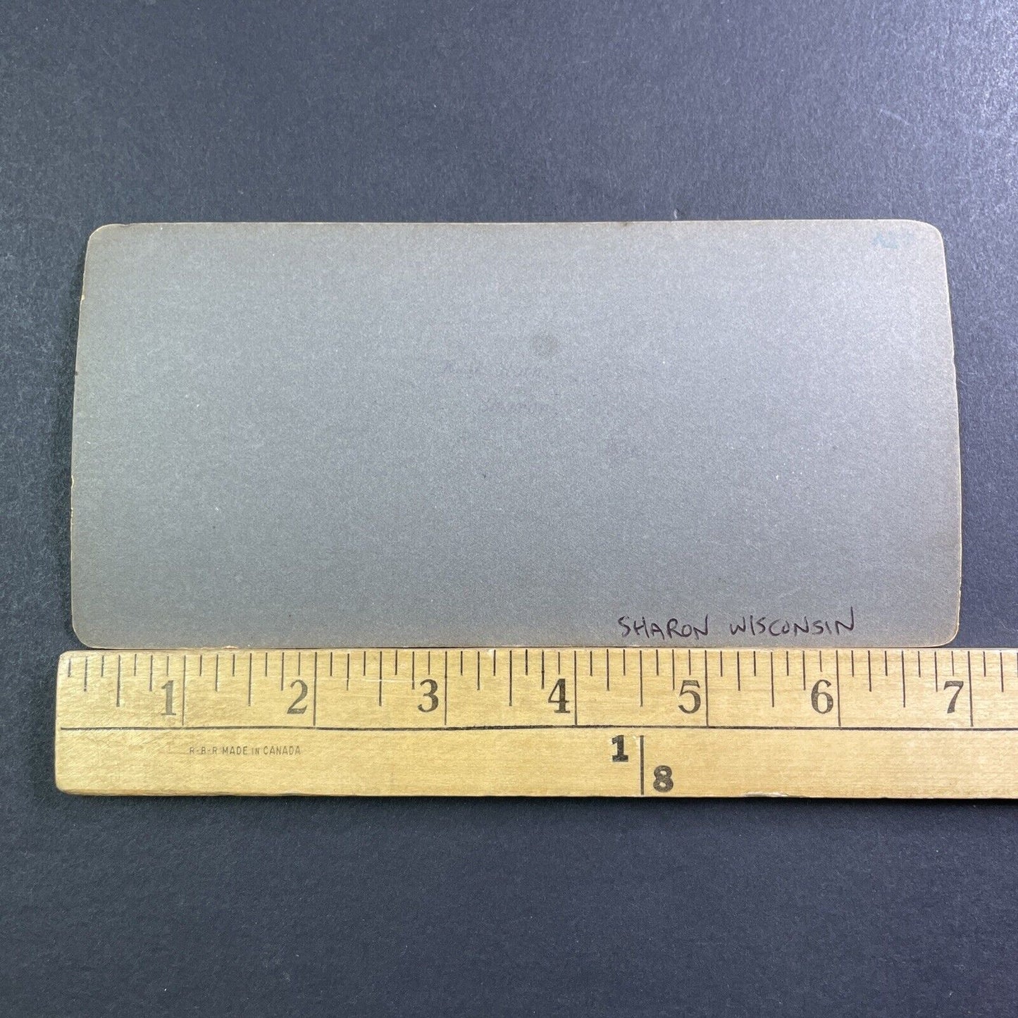 Chicken Farm Sharon Wisconsin Stereoview Farming Homestead Antique c1910 X1602