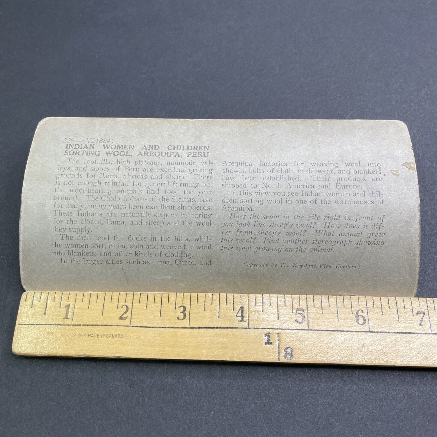 Antique 1909 Native Women Farm Alpaca Wool Peru Stereoview Photo Card P1926