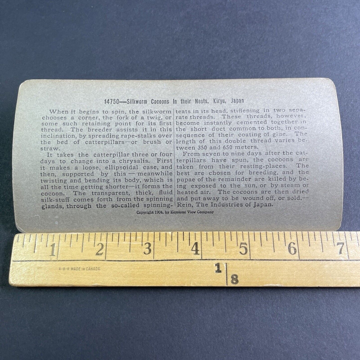 Antique 1904 Silkworm Nest Cocoons Yokohama Japan Stereoview Photo Card P2116