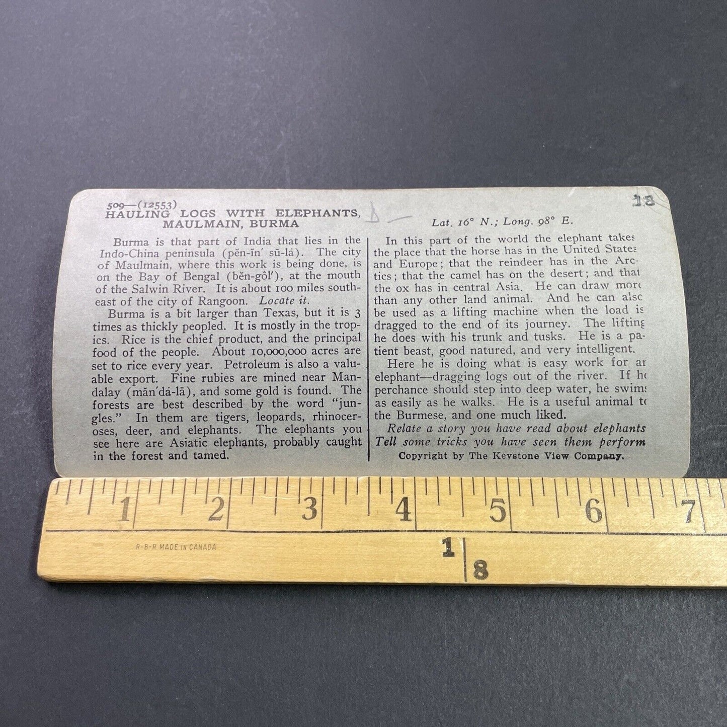 Antique 1910s Log Drivers With Elephants Burma Stereoview Photo Card P3711