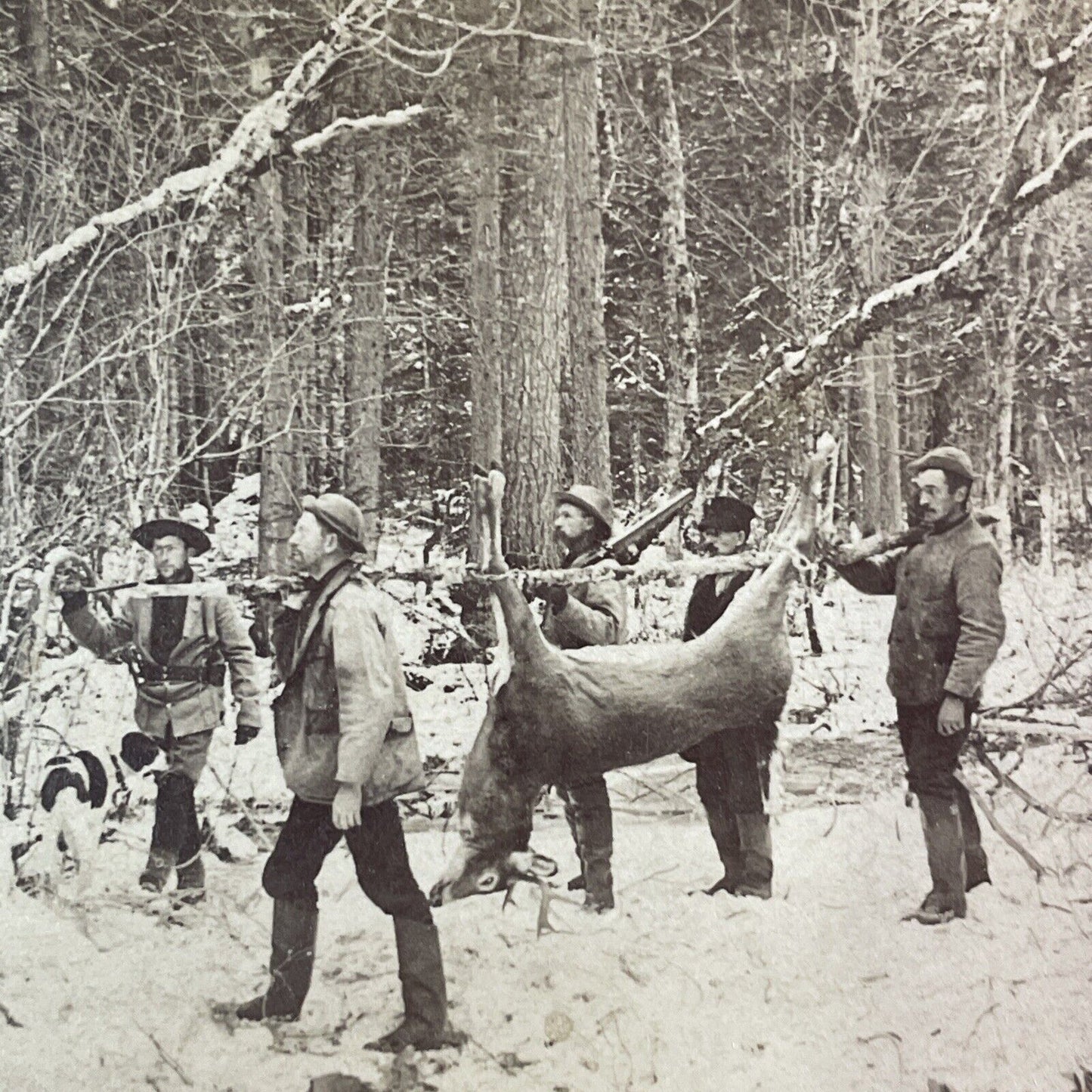 Hunters Carry a Deer in New Hampshire Stereoview Antique c1888 Y1393