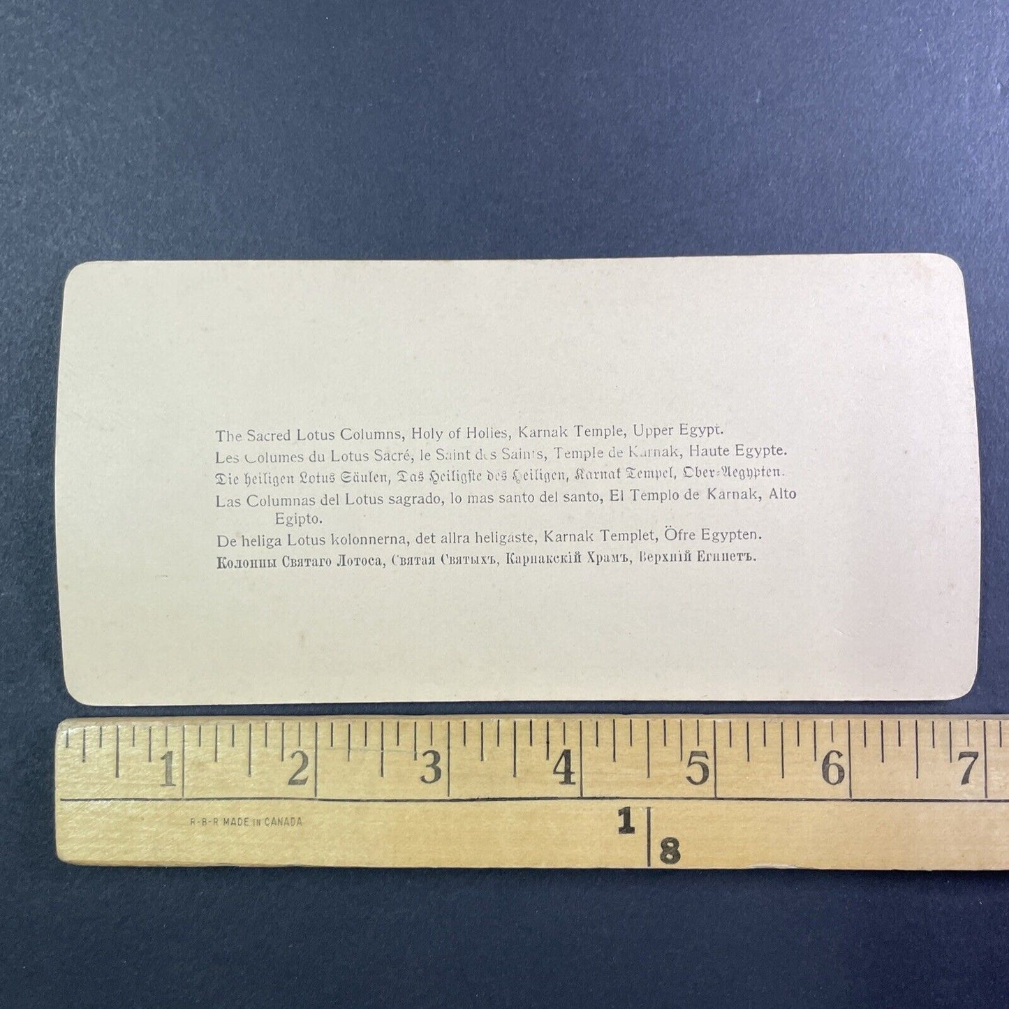 Lotus Columns Karnak Temple Egypt Stereoview Strohmeyer Antique c1896 Y968