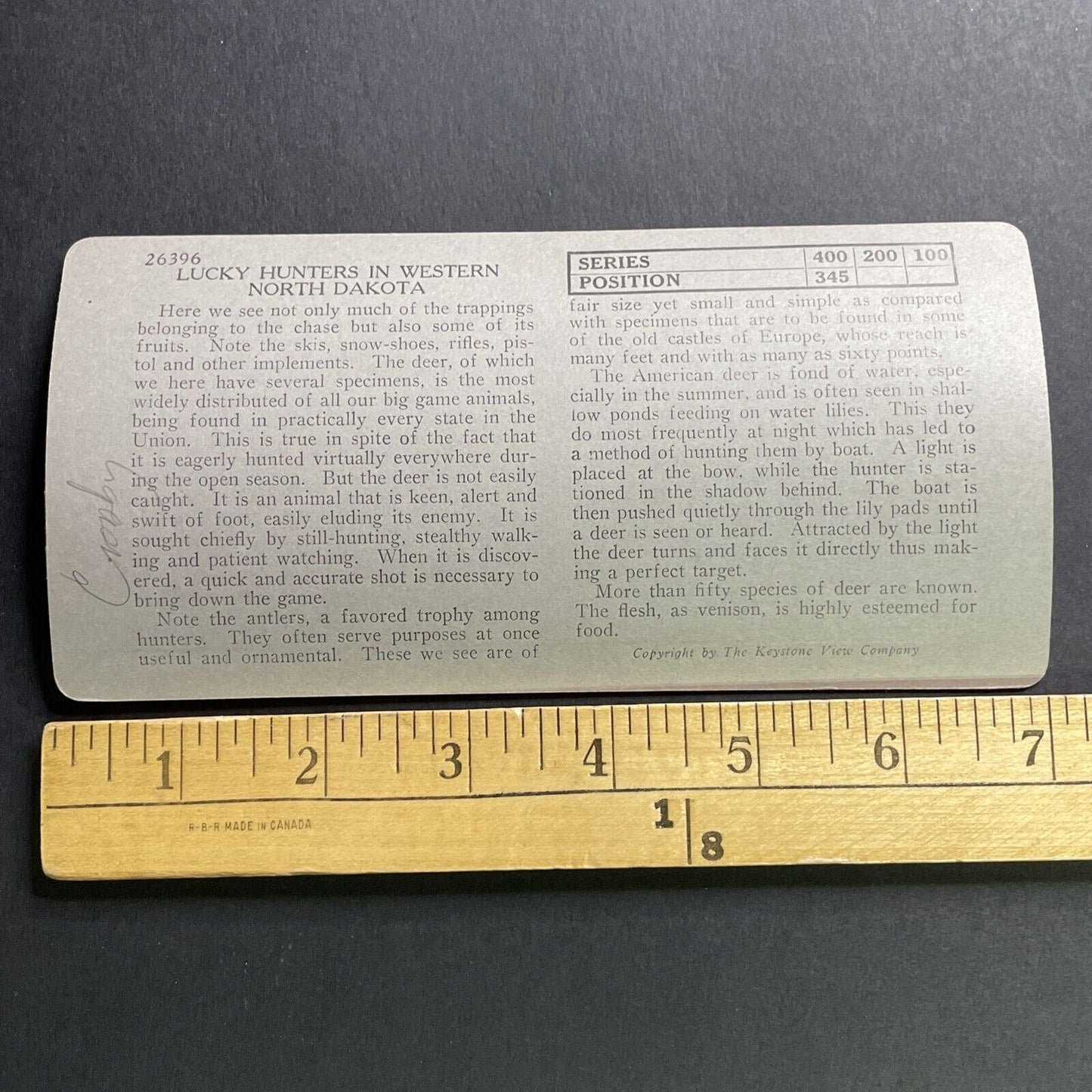 Antique 1910s Deer Hunting Near Crosby North Dakota Stereoview Photo Card P1659