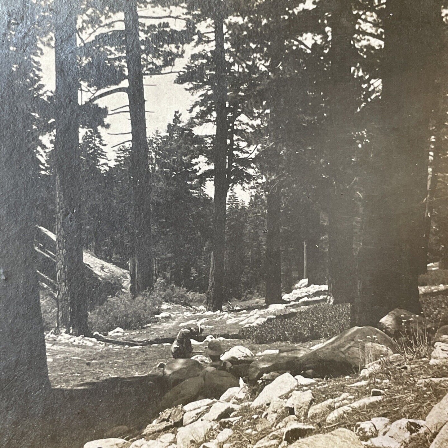Grayback Mountain Trail Road Stereoview Williams Oregon Antique c1885 X2757