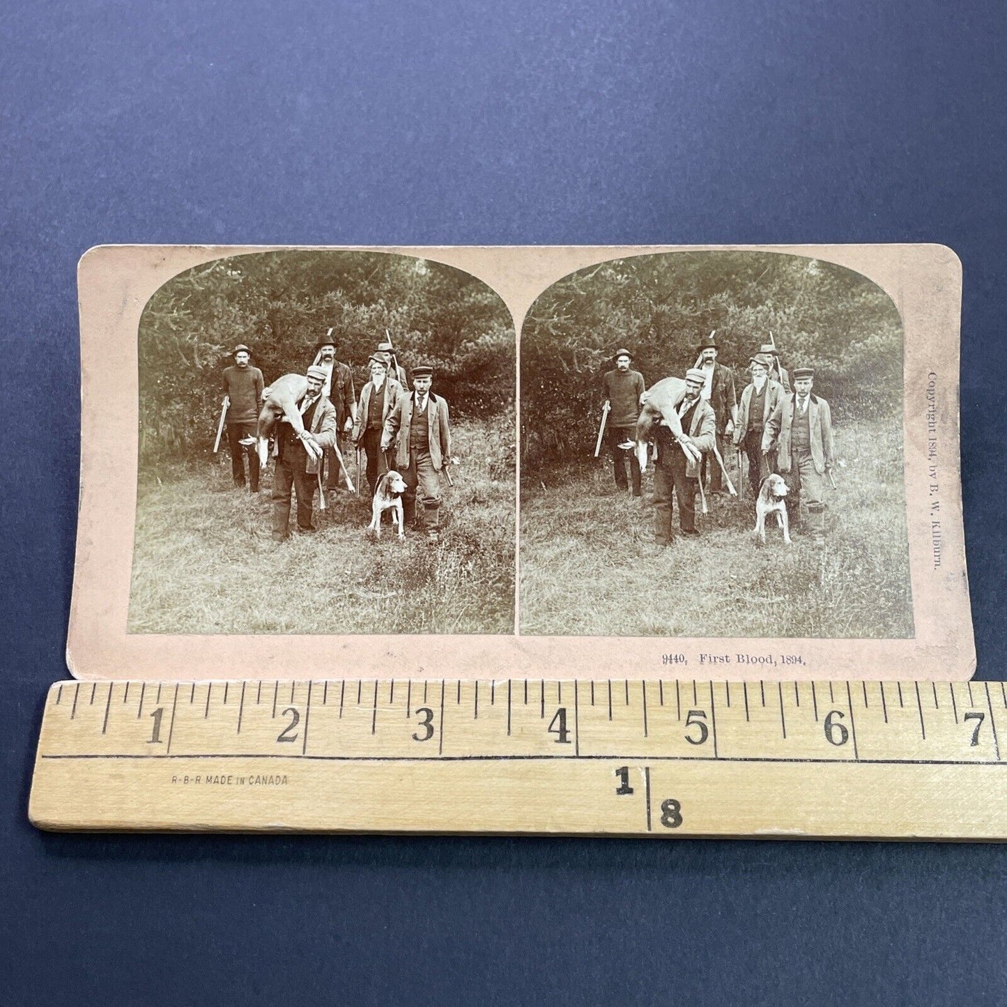 Antique 1894 Hunter Carries Deer Over His Shoulder Stereoview Photo Card P3512