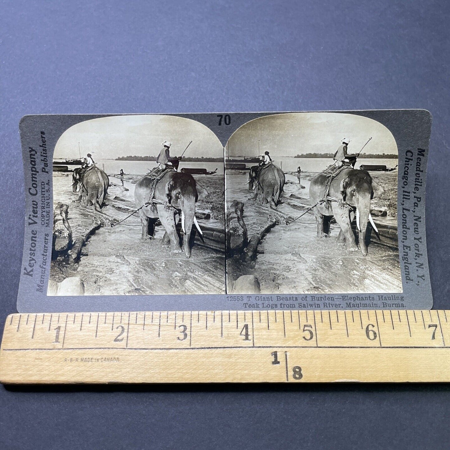 Antique 1910s Elephants Used For Logging In Myanmar Stereoview Photo Card P2748
