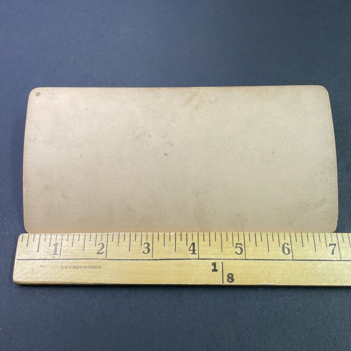 Antique 1894 Girl With Golden Retriever Mix Dog Stereoview Photo Card P3365