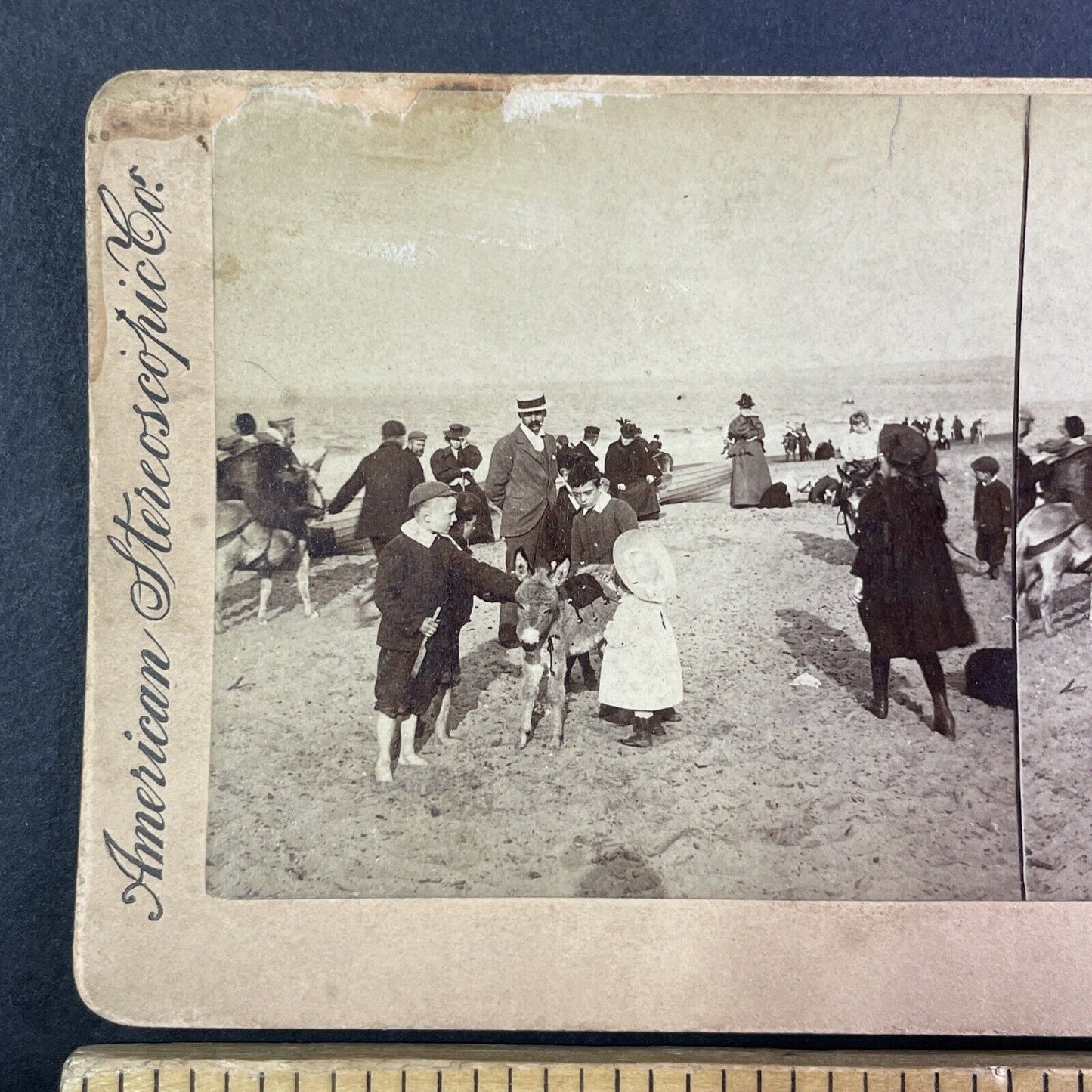 Beach Scene with Donkey Stereoview Edinburgh Scotland Antique c1897 Y960