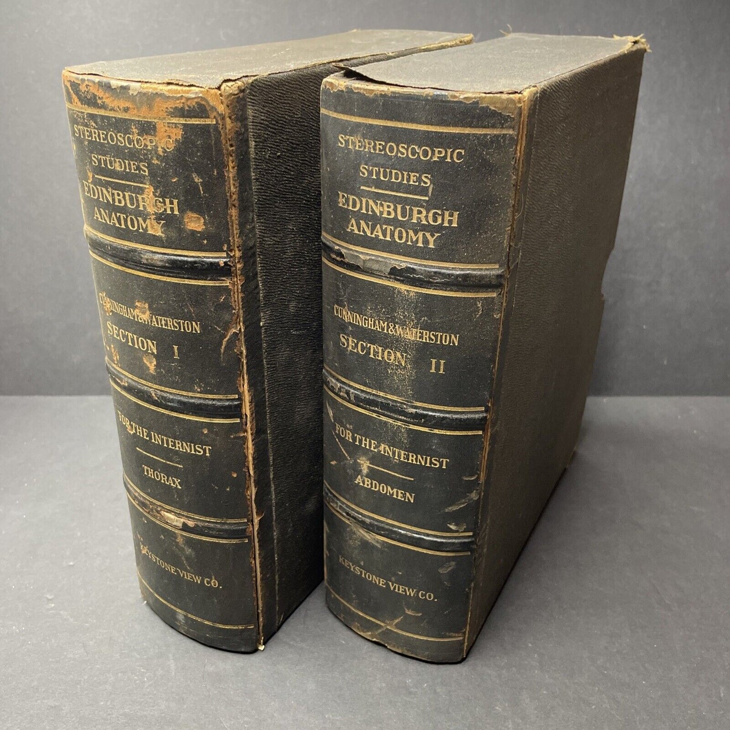Internal Medicine Anatomy Stereoview 80pc Set Surgical Autopsy Antique 1911