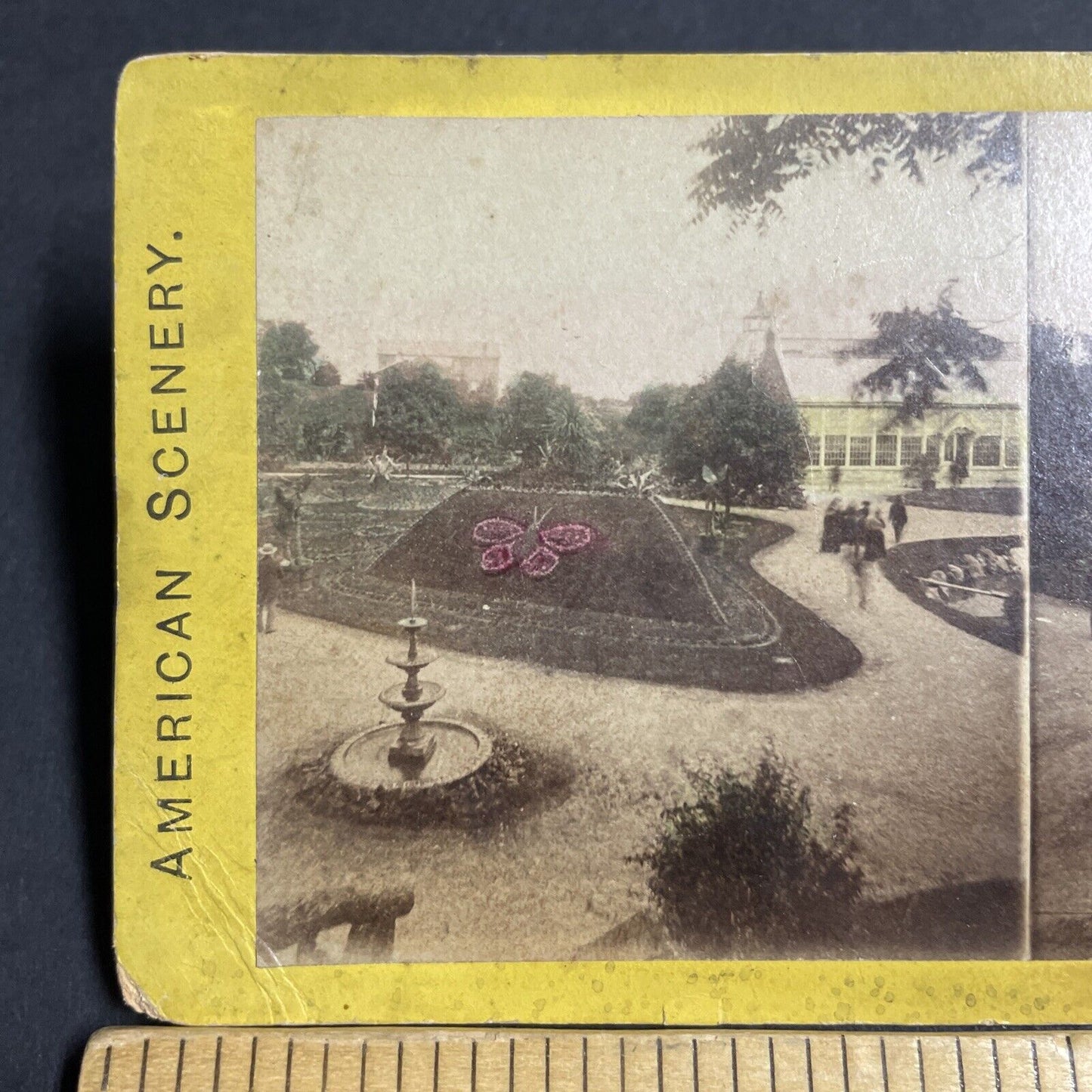 Antique 1870s Butterfly Gardens Boston Massachusetts Stereoview Photo Card P4891