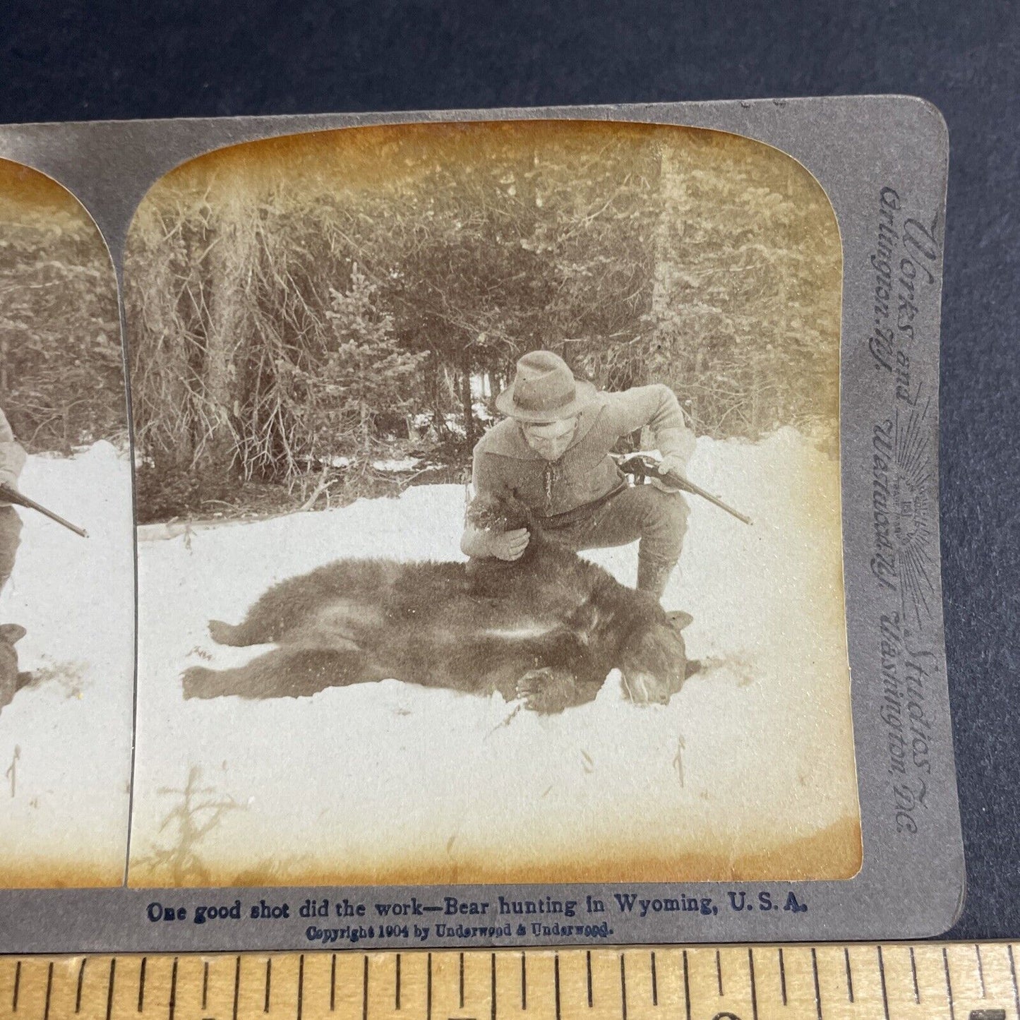 Antique 1904 Hunter Shoots A Black Bear In Wyoming Stereoview Photo Card P4820