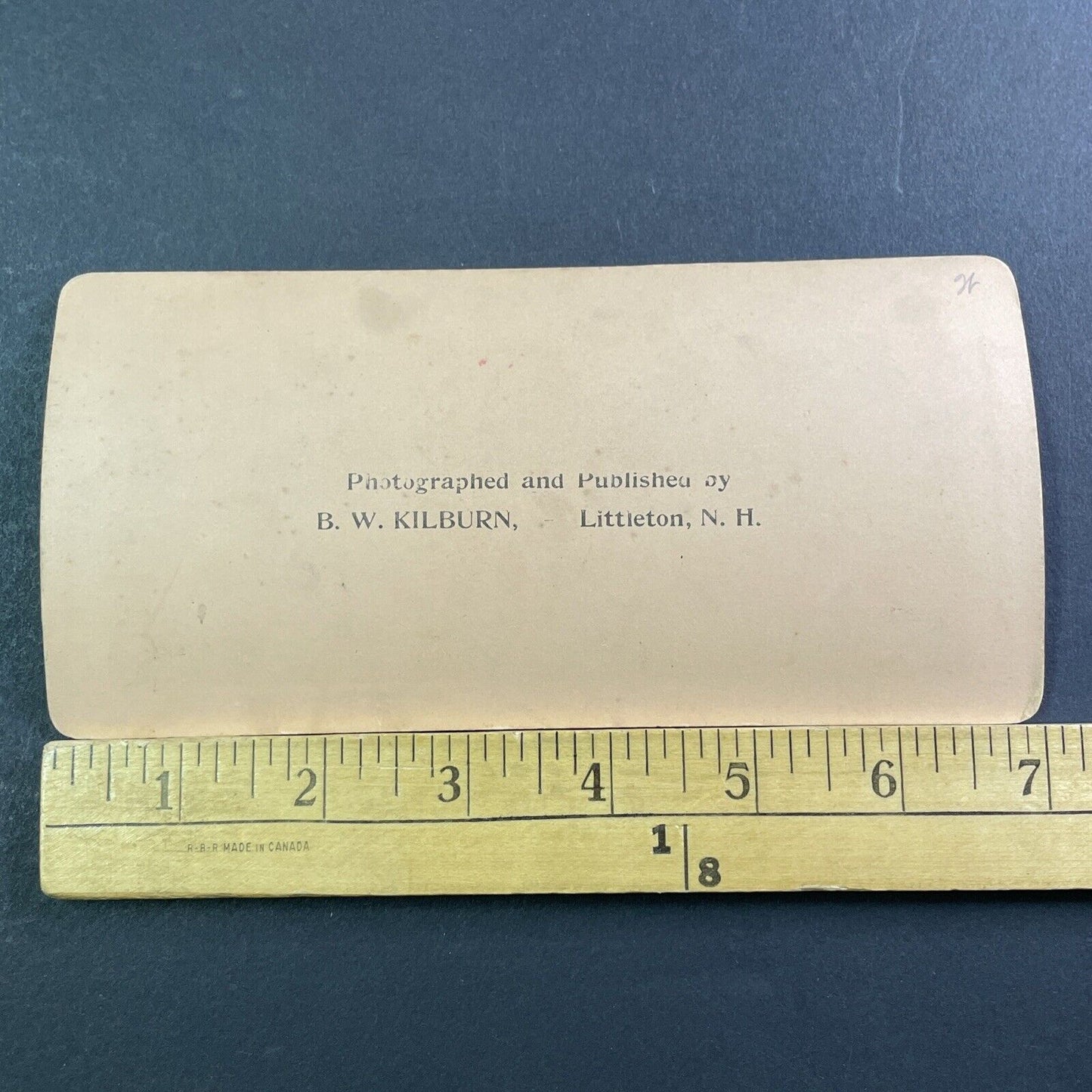 Schatzalp Tuberculosis Sanatorium Stereoview Davos Swiss Antique c1901 X2455