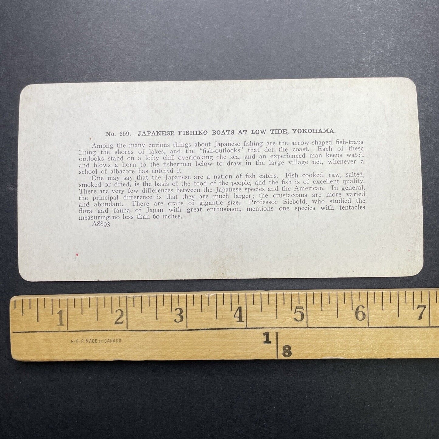 Antique 1905 Fishing Boats In Yokohama Japan Stereoview Photo Card P580-101