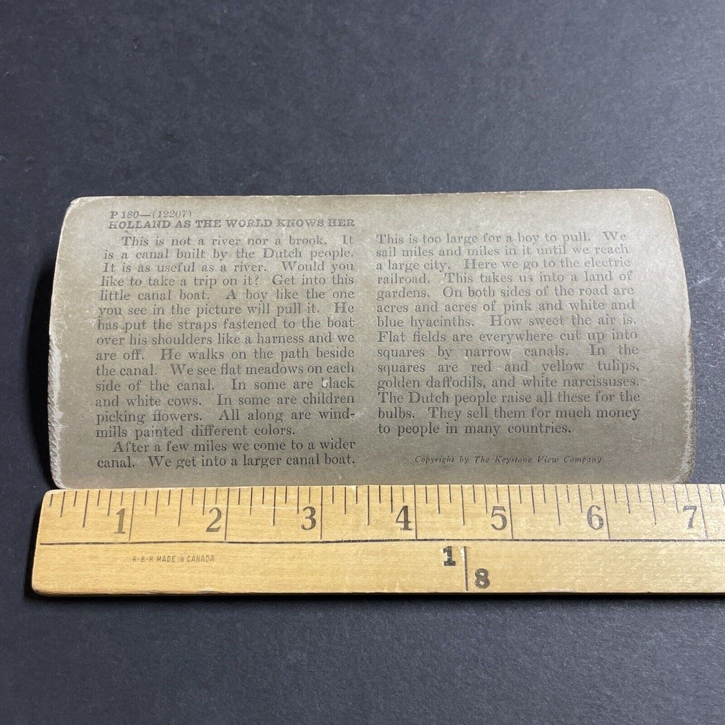 Antique 1910s Dutch Boy In Zaandijk Netherlands Stereoview Photo Card P5198