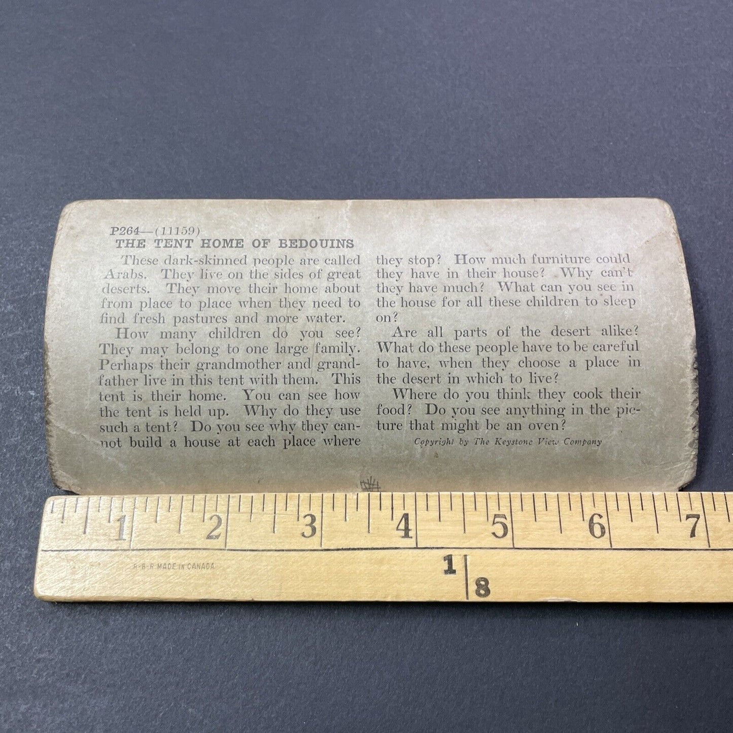 Antique 1909 Bedouin Nomads In Palestine Stereoview Photo Card V3319