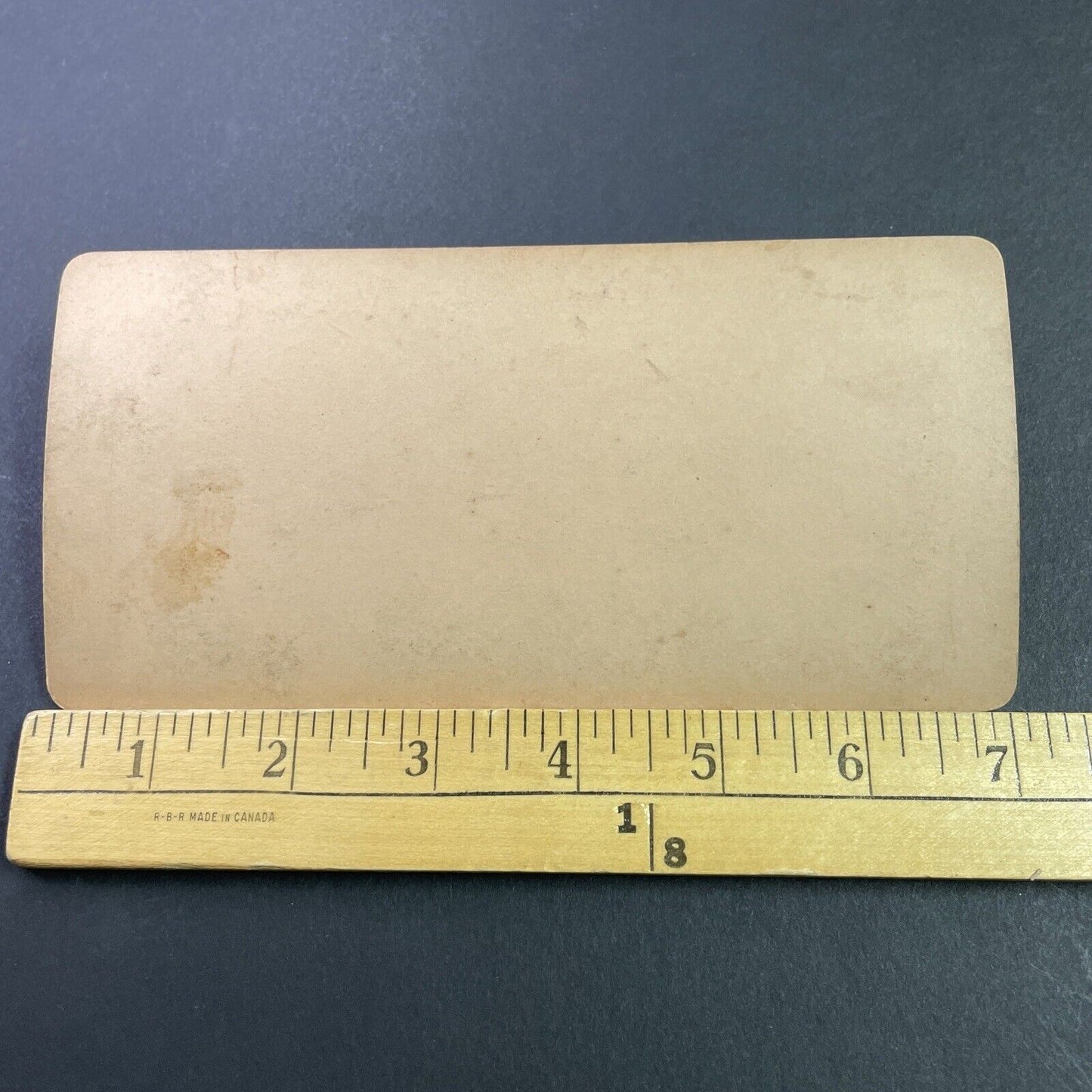 Antique 1890s Man Hunts A Rat While Women Hide Stereoview Photo Card P3421