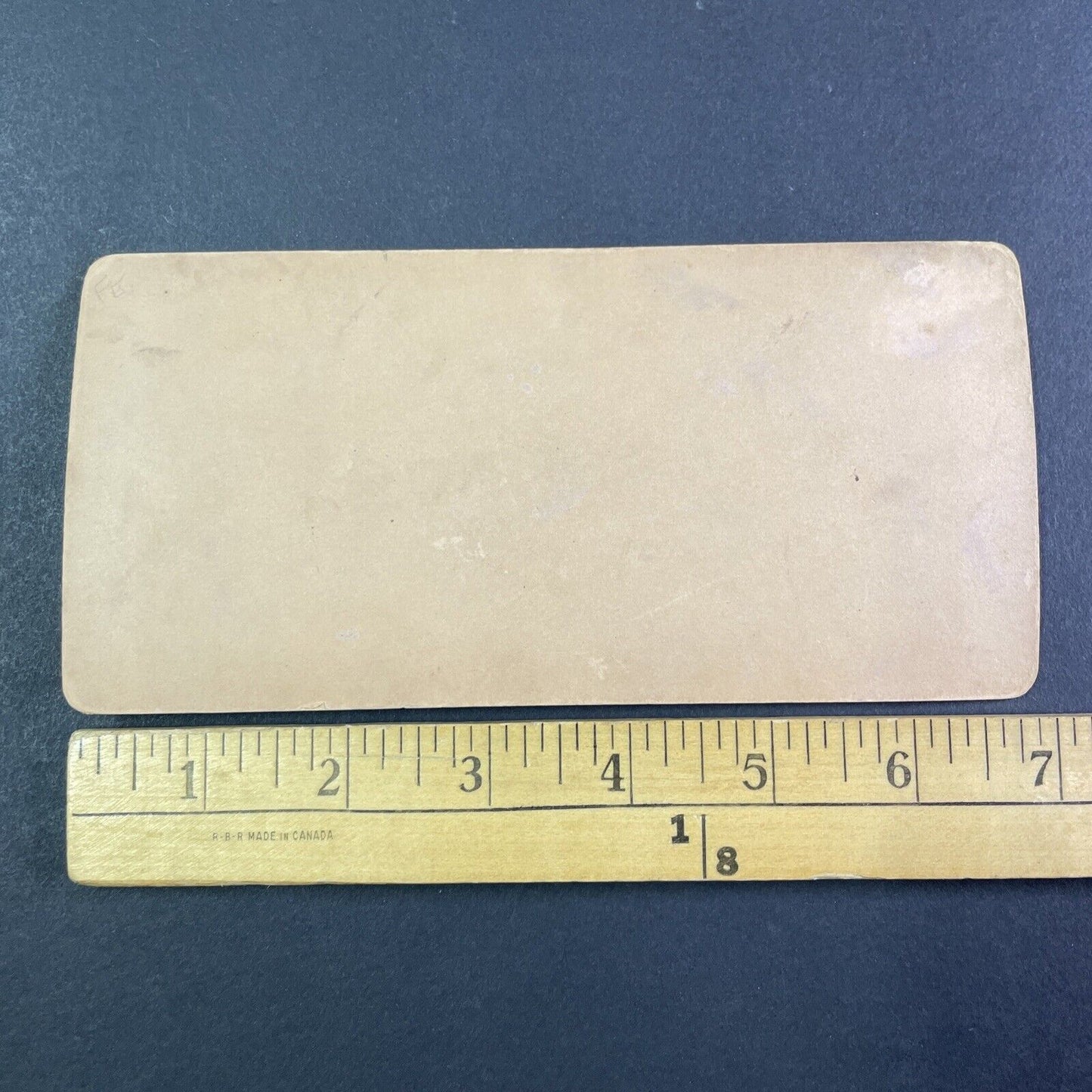 Salmon Fishery British Columbia Canada Stereoview CPR Rail Views c1899 Y2102