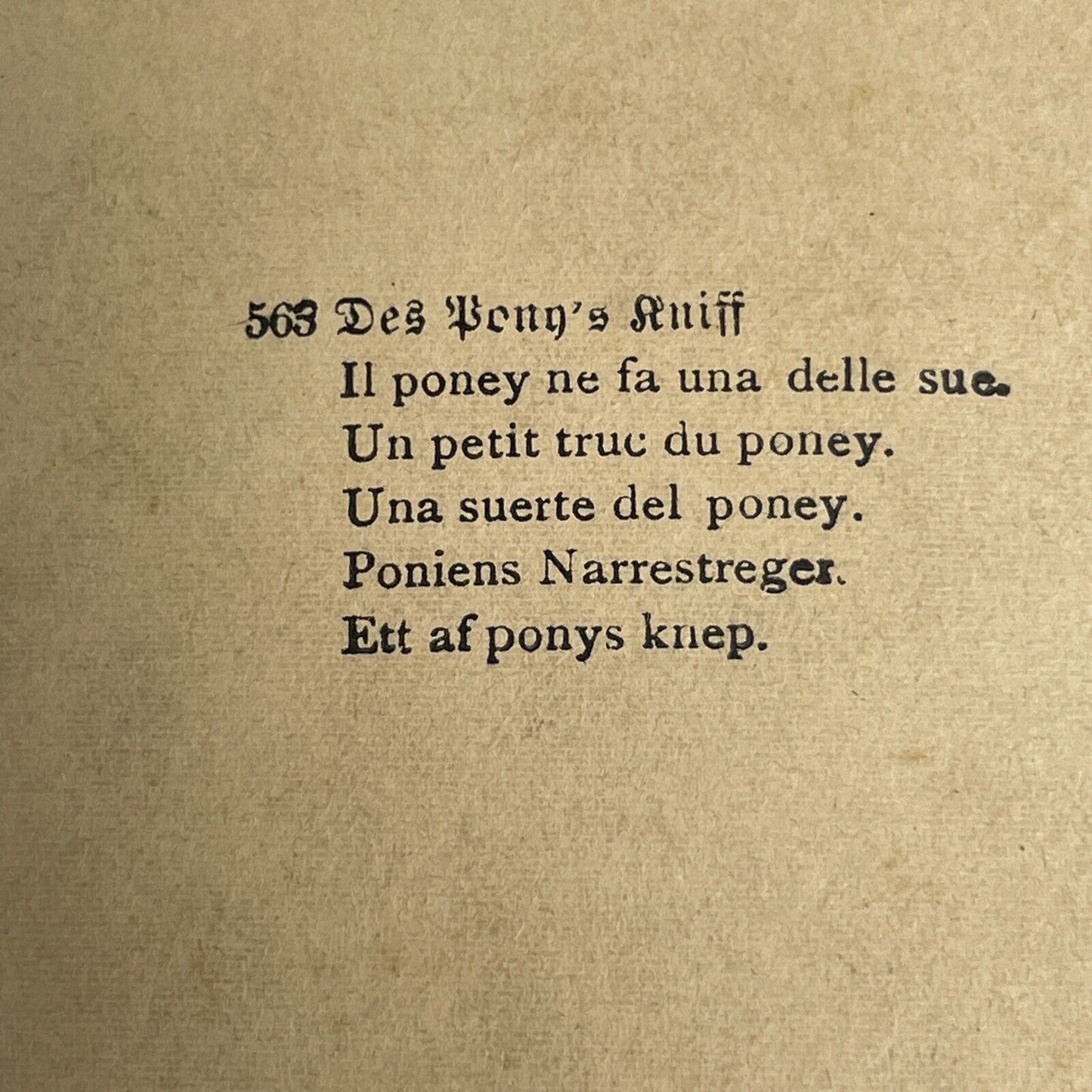 Antique 1894 Boy & Pony Dismount Trick Stereoview Photo Card PC777