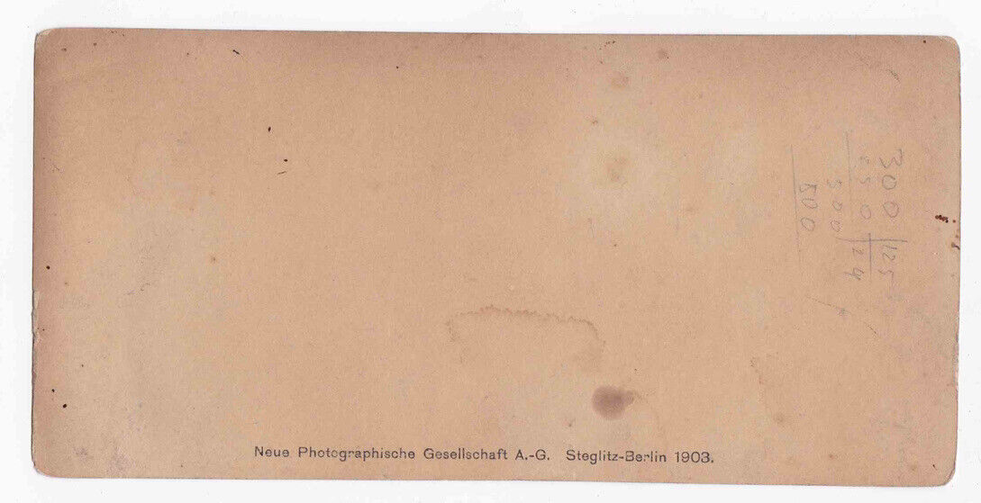 Antique 1903 Kaiser Wilhelm Statue Denkmal II Wiesbaden Germany Stereo Card P332