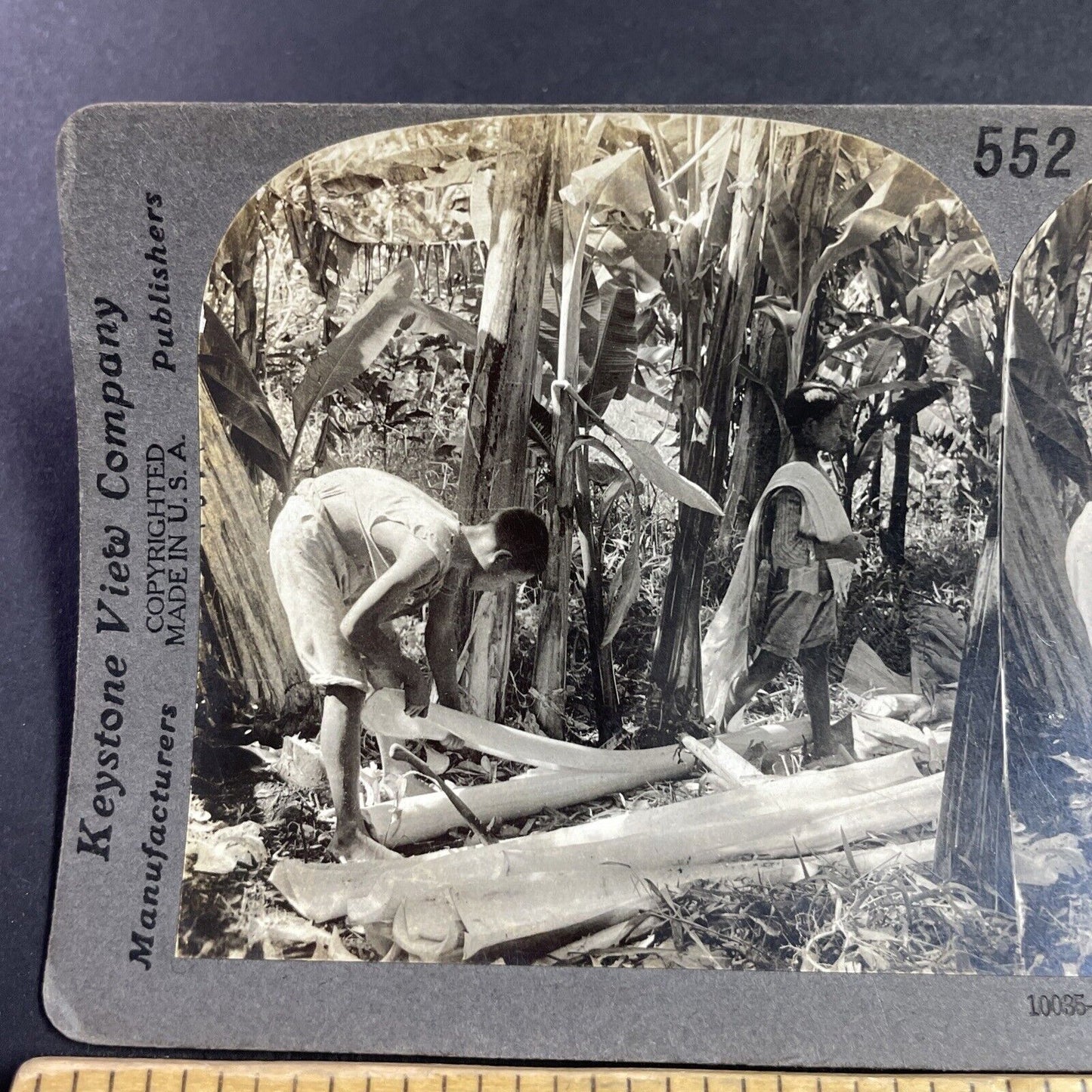 Antique 1920 Stripping Palm Trees Manila Philippines Stereoview Photo Card P3626