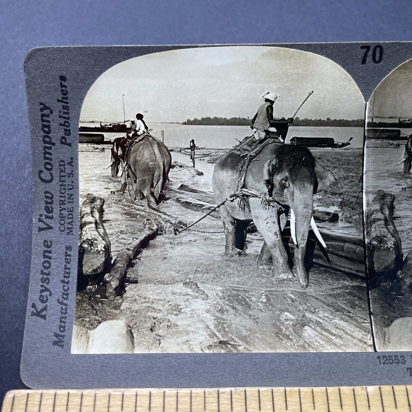 Antique 1910s Elephants Used For Logging In Myanmar Stereoview Photo Card P2748