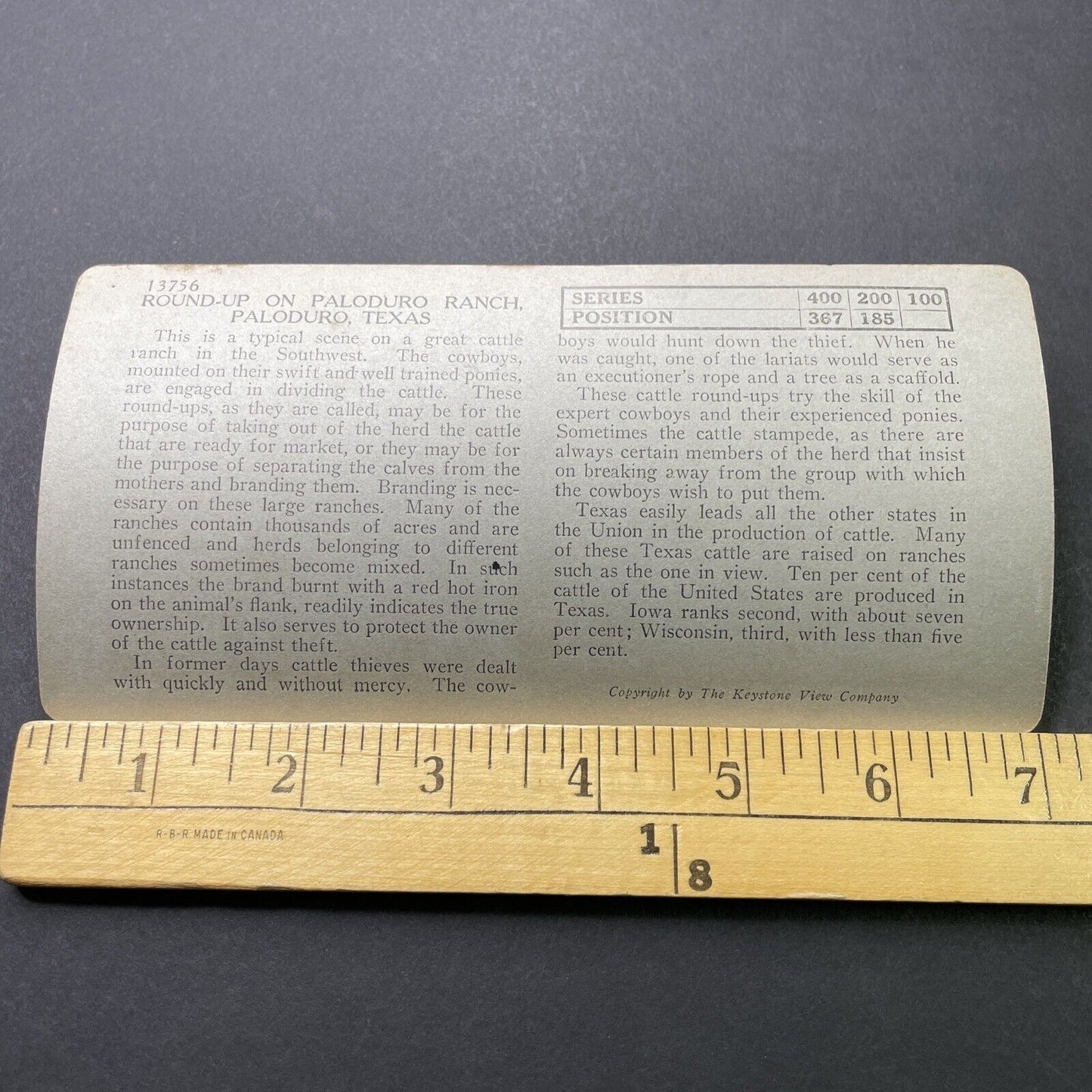 Antique 1910s Texas Cowboys Round-Up Cattle Stereoview Photo Card P3181