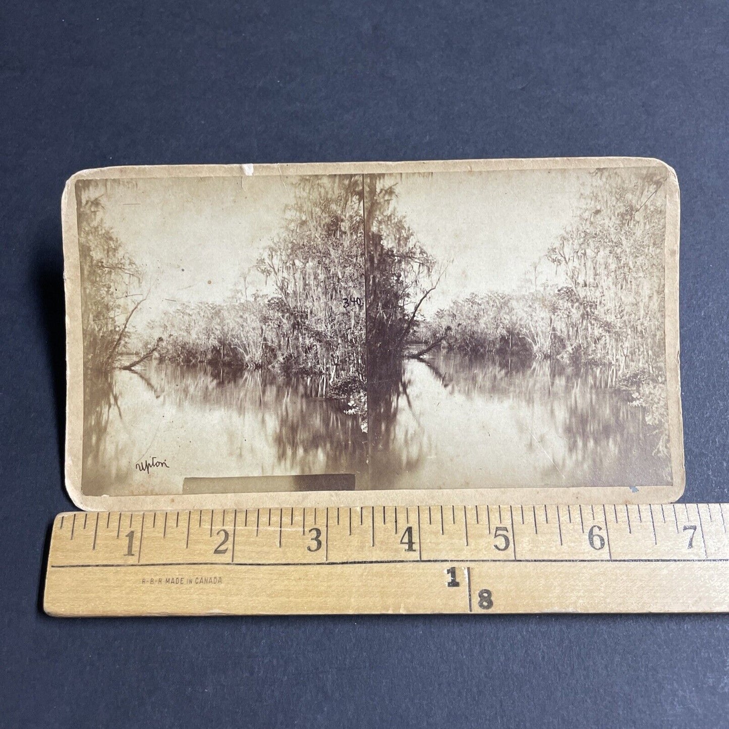 Antique 1870s Ocklawaha River Florida Stereoview Photo Card P4874