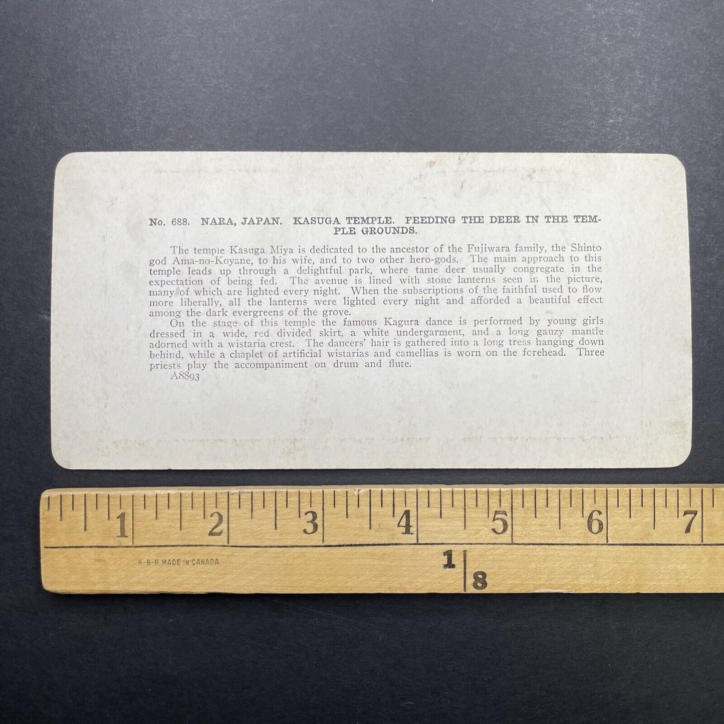 Antique 1905 Kasuga-Taisha Temple Deer Park Japan Stereoview Photo Card P580-097