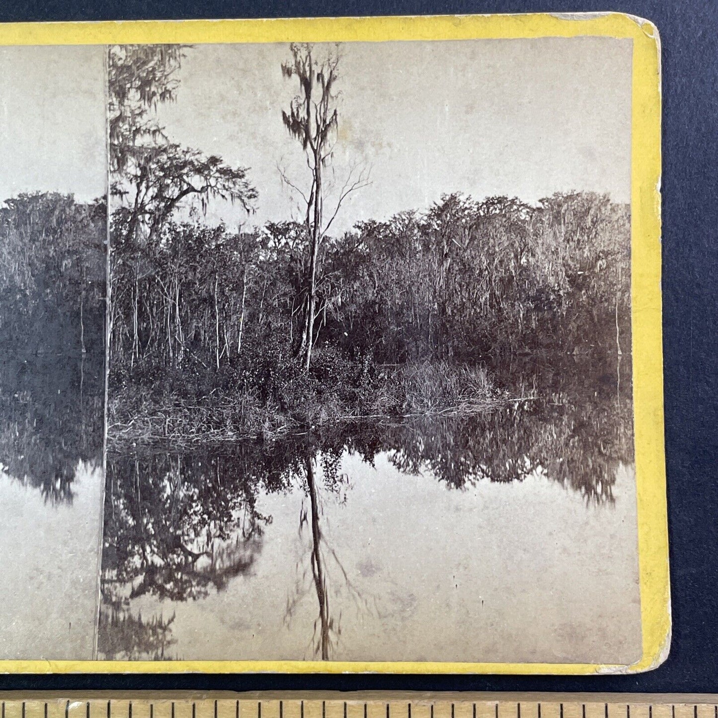 Silver Springs Florida Stereoview Wilson and Havens Antique c1870s Y440