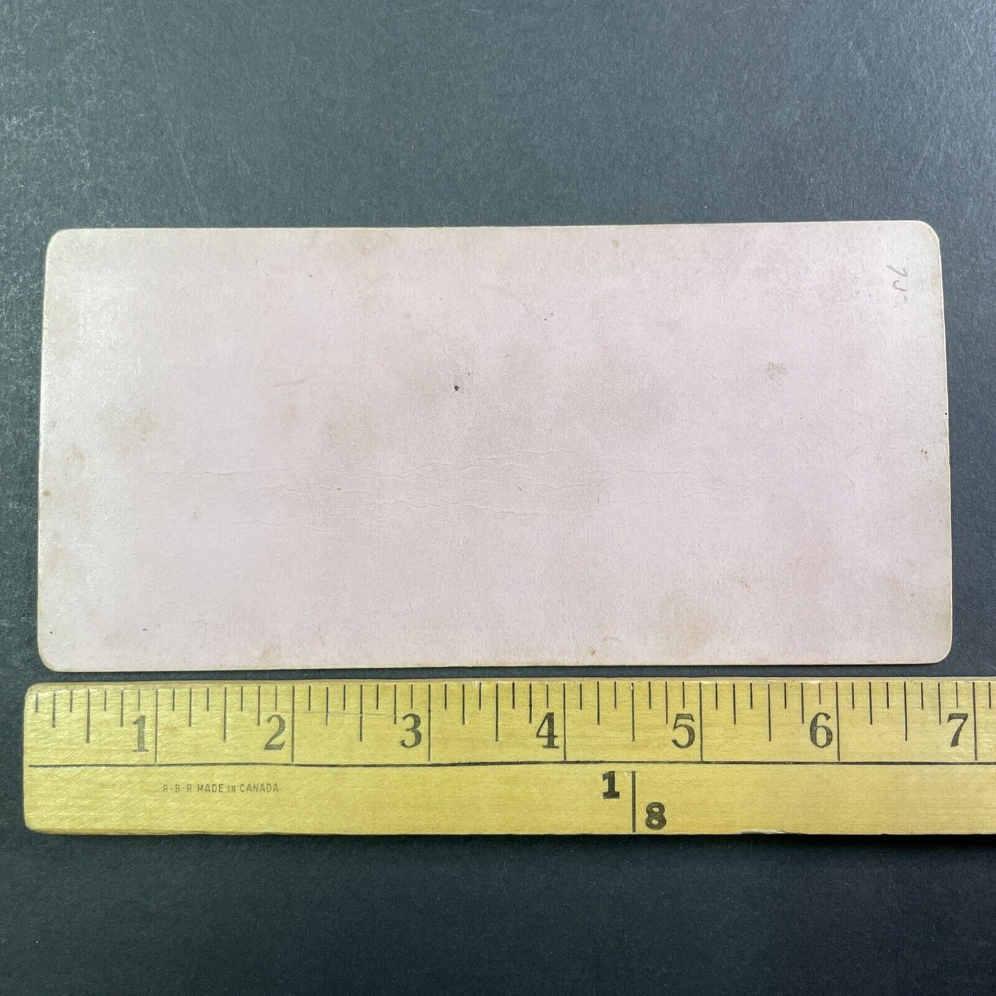 Woodward's Gardens San Francisco CA Stereoview CSC Antique c1870 Y047