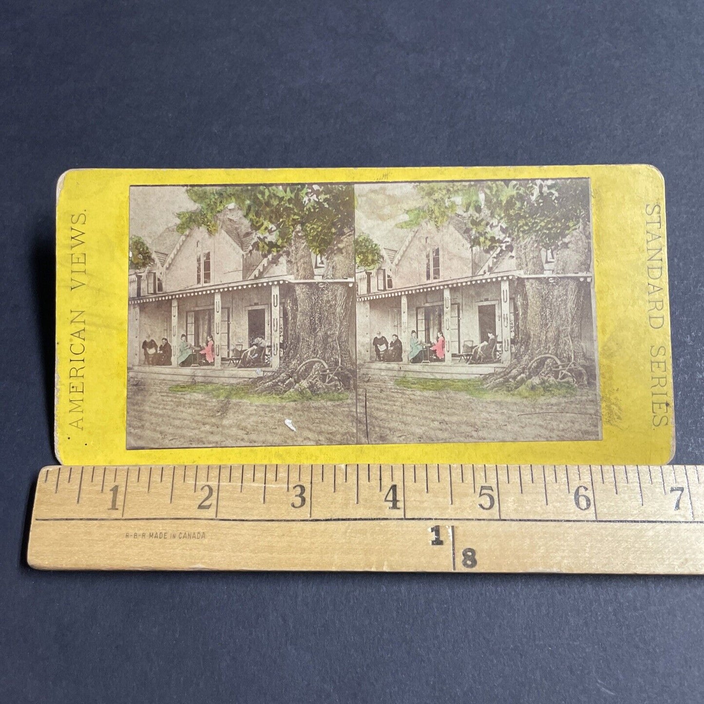 Antique 1870s Huge Oak Tree Grows Into House Florida Stereoview Photo Card P4774