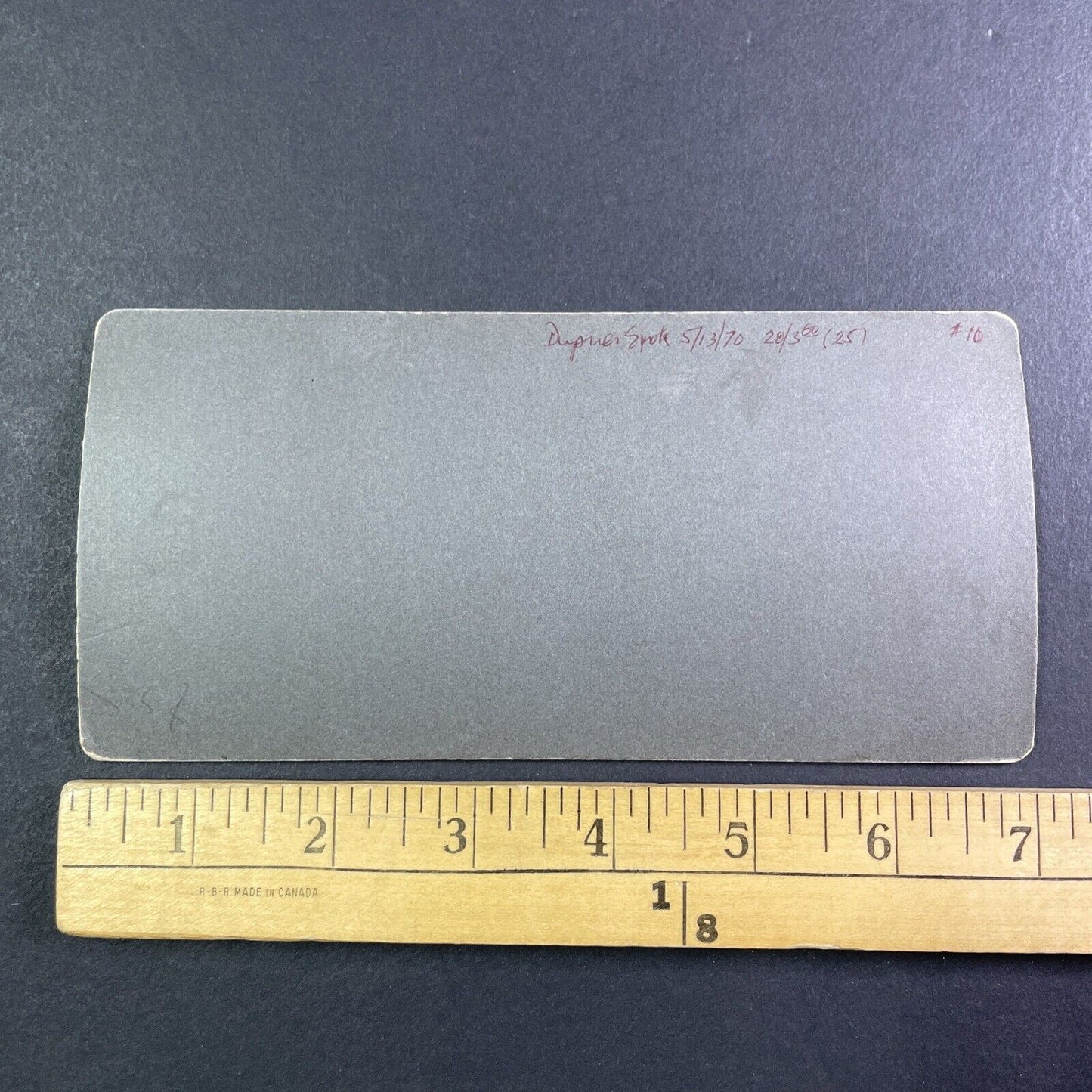 Puppy Dog in a Basket Stereoview O.W. Watson Spokane Washington c1901 Y1709