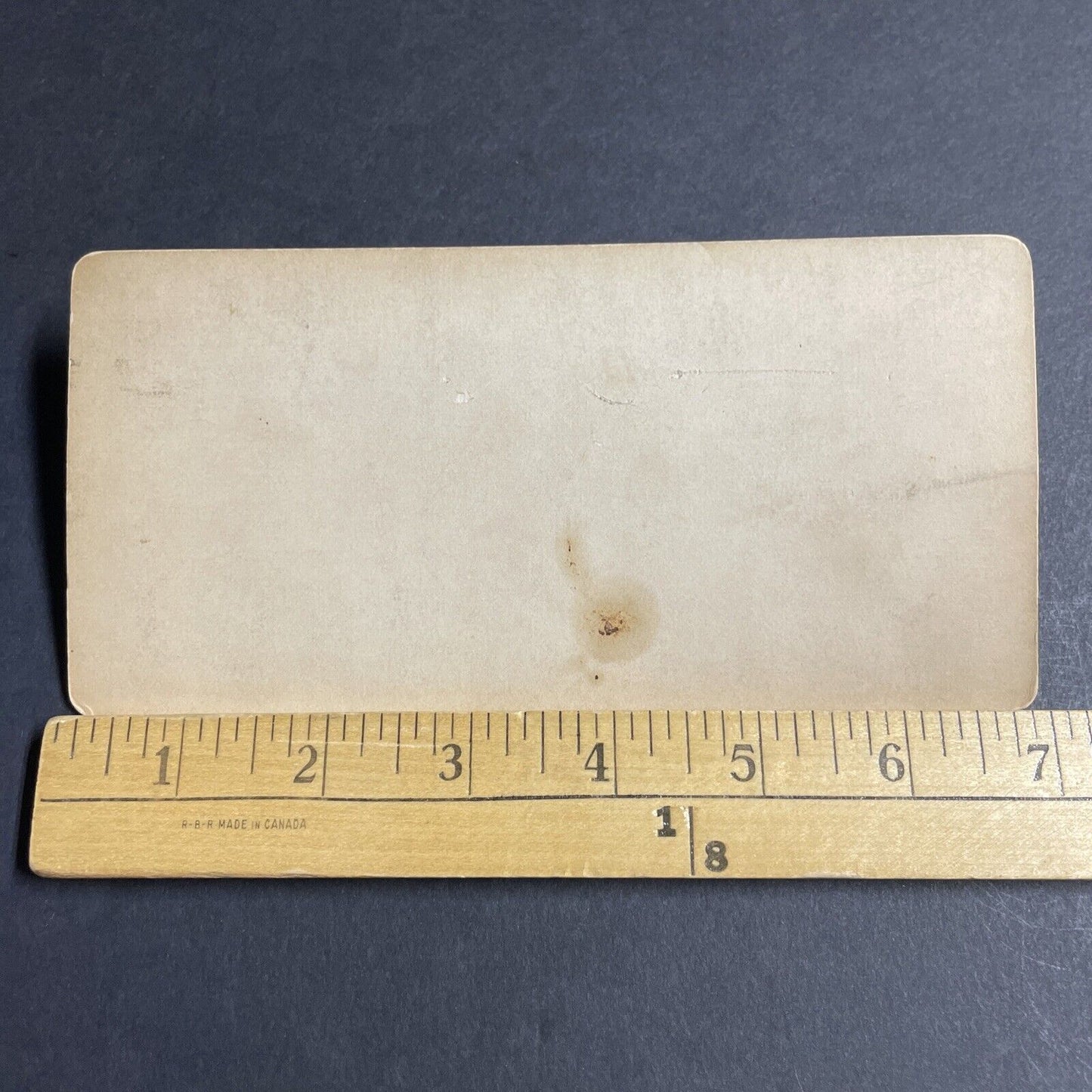 Antique 1878 Rutherford B. Hayes Flower Arrangement Stereoview Photo Card P4640