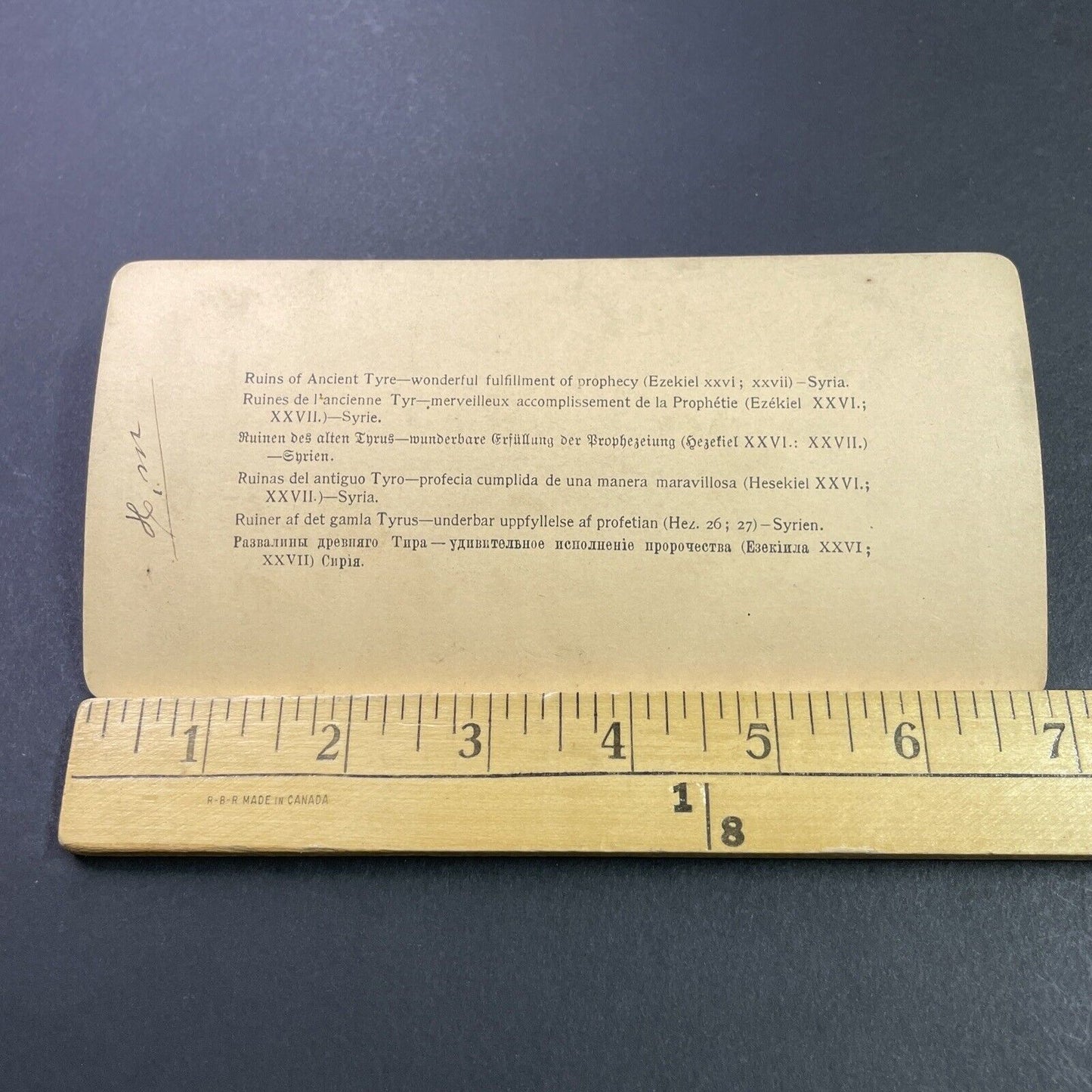 Antique 1900 Syrian Fisherman And His Net Syria Stereoview Photo Card P3844