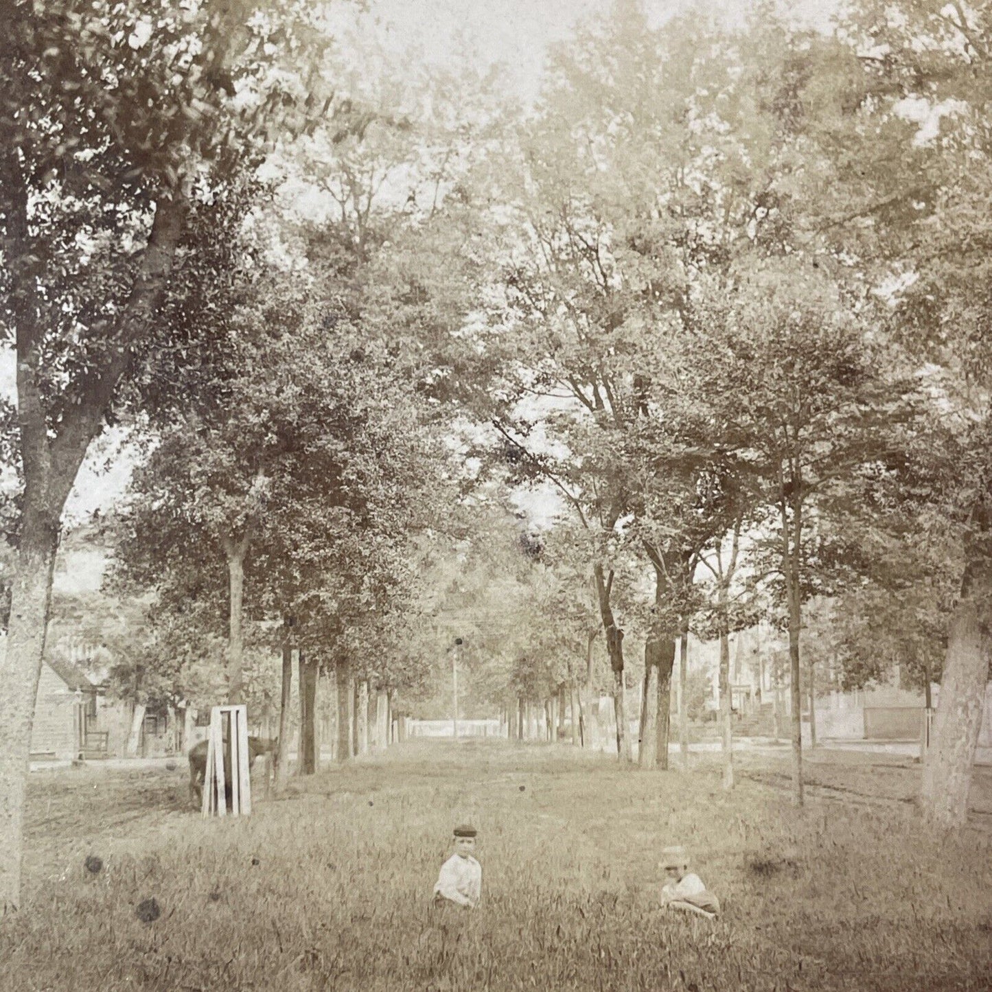 Savannah Georgia Oglethorpe Avenue Stereoview O. Havens Antique c1878 Y1763
