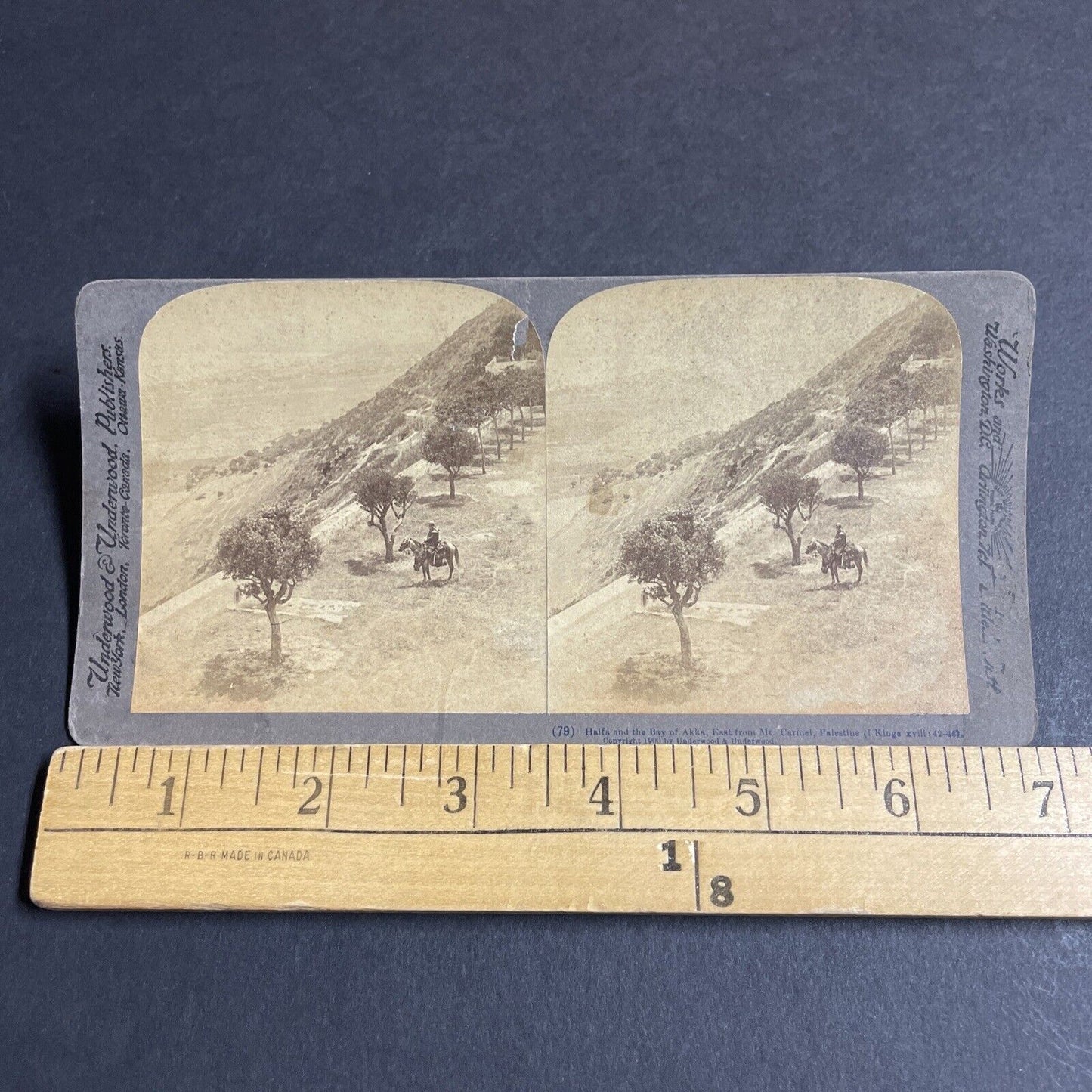 Antique 1900 Arab Desert Warrior On Horseback Stereoview Photo Card P4207
