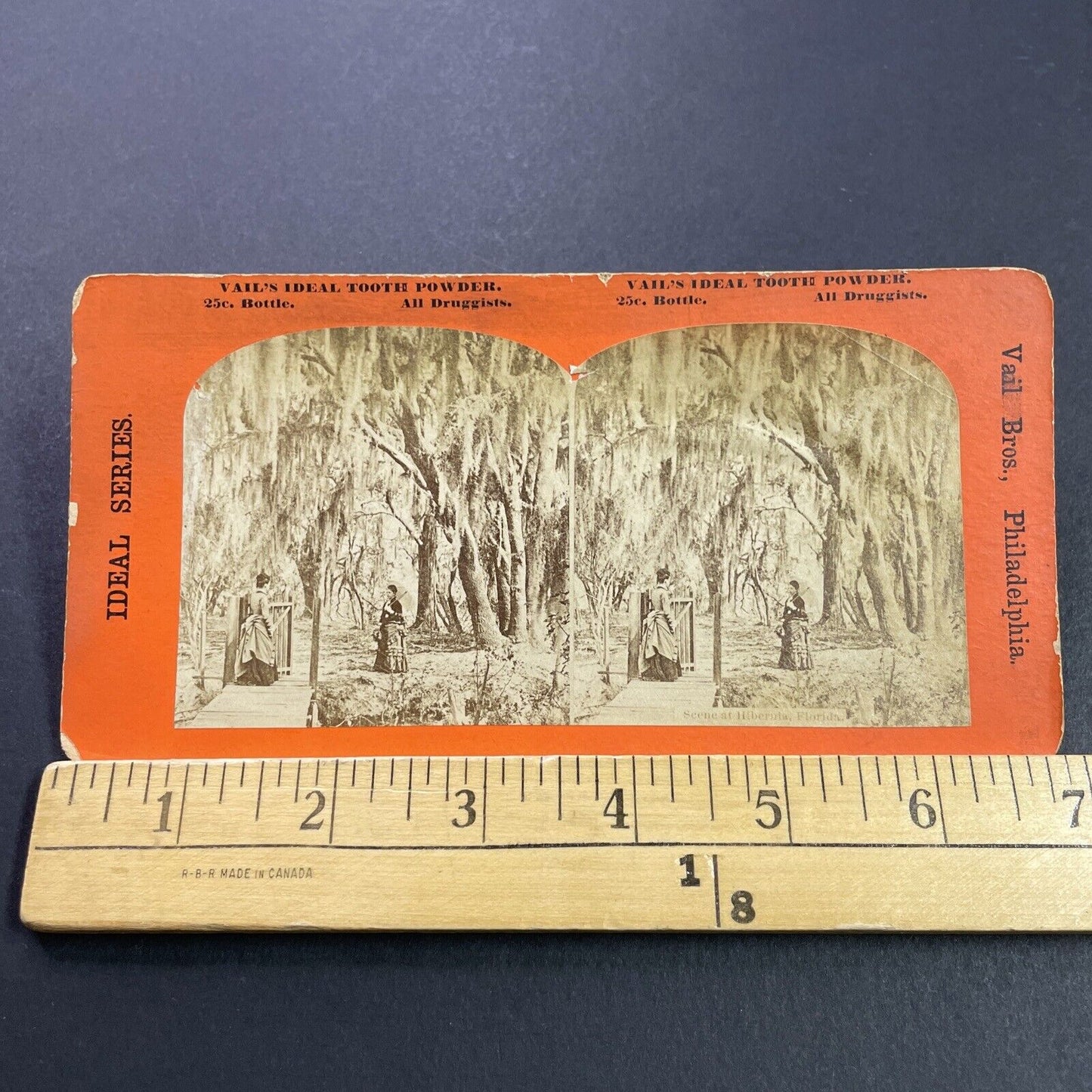 Antique 1860s Rich Women Hibernia Plantation Florida Stereoview Photo Card P4138